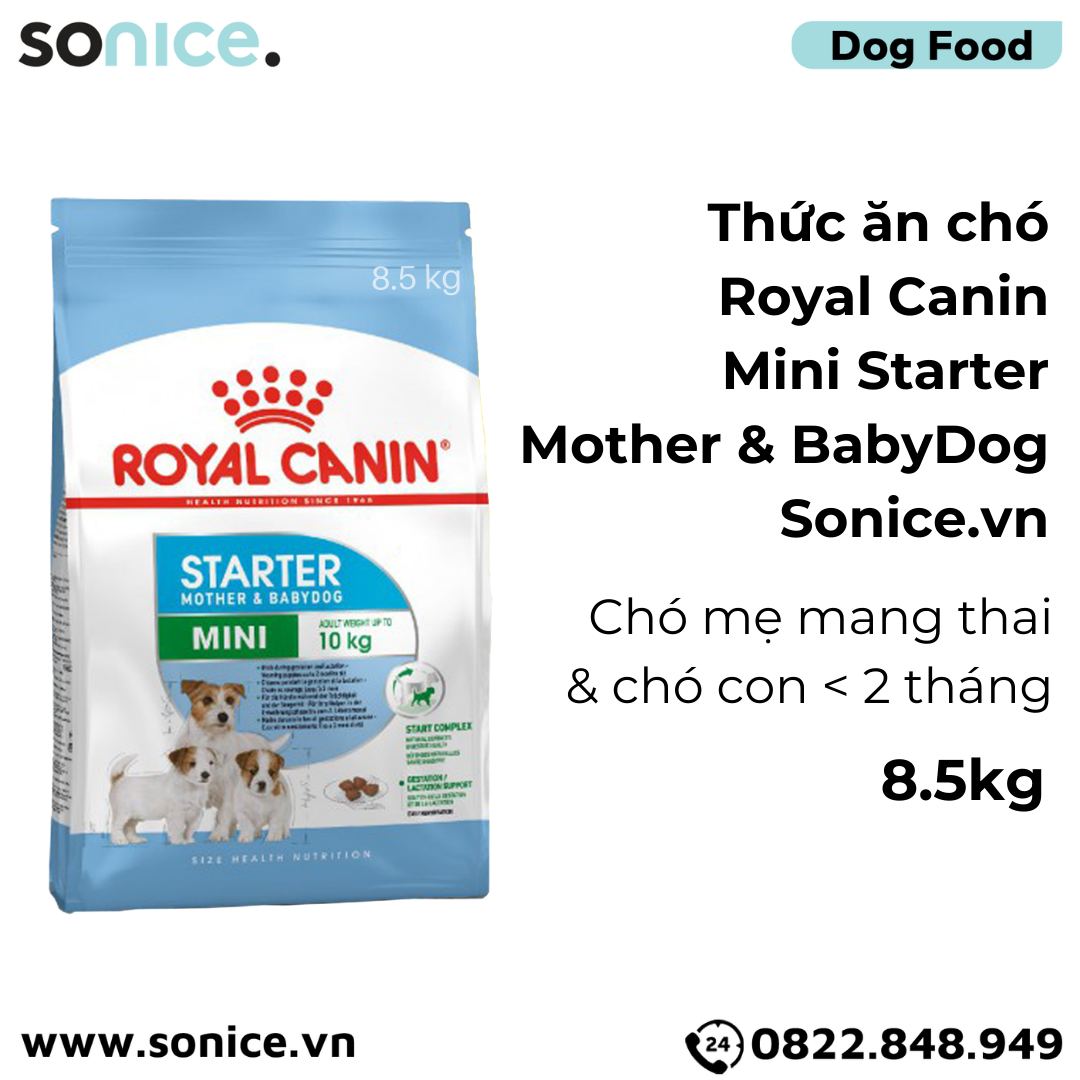 Thức ăn chó Royal Canin Mini Starter Mother & BabyDog 8.5kg - Chó mẹ mang thai & chó con < 2 tháng SONICE.