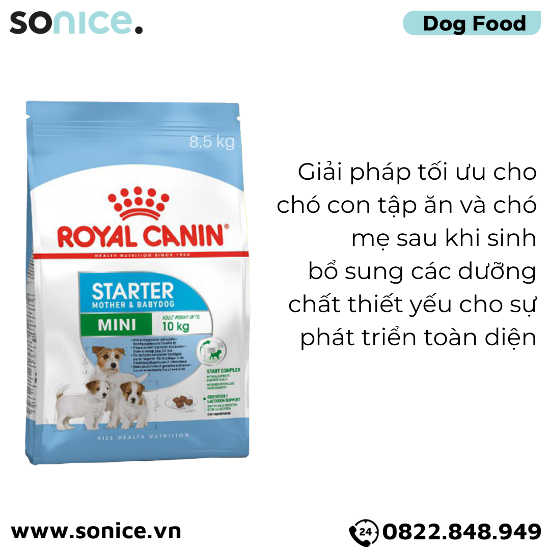 Thức ăn chó Royal Canin Mini Starter Mother & BabyDog 8.5kg - Chó mẹ mang thai & chó con < 2 tháng SONICE.