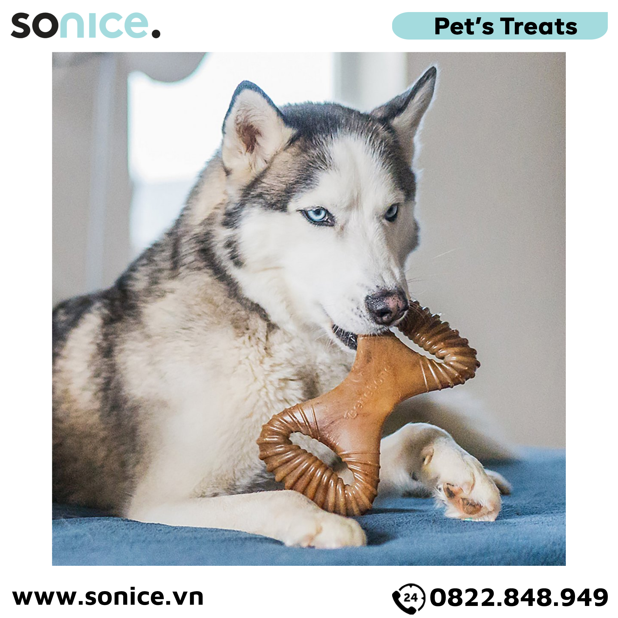 Xương gặm BENEBONE Dental Chew Bacon Medium Size cho chó >20kg - vị thịt xông khói SONICE.