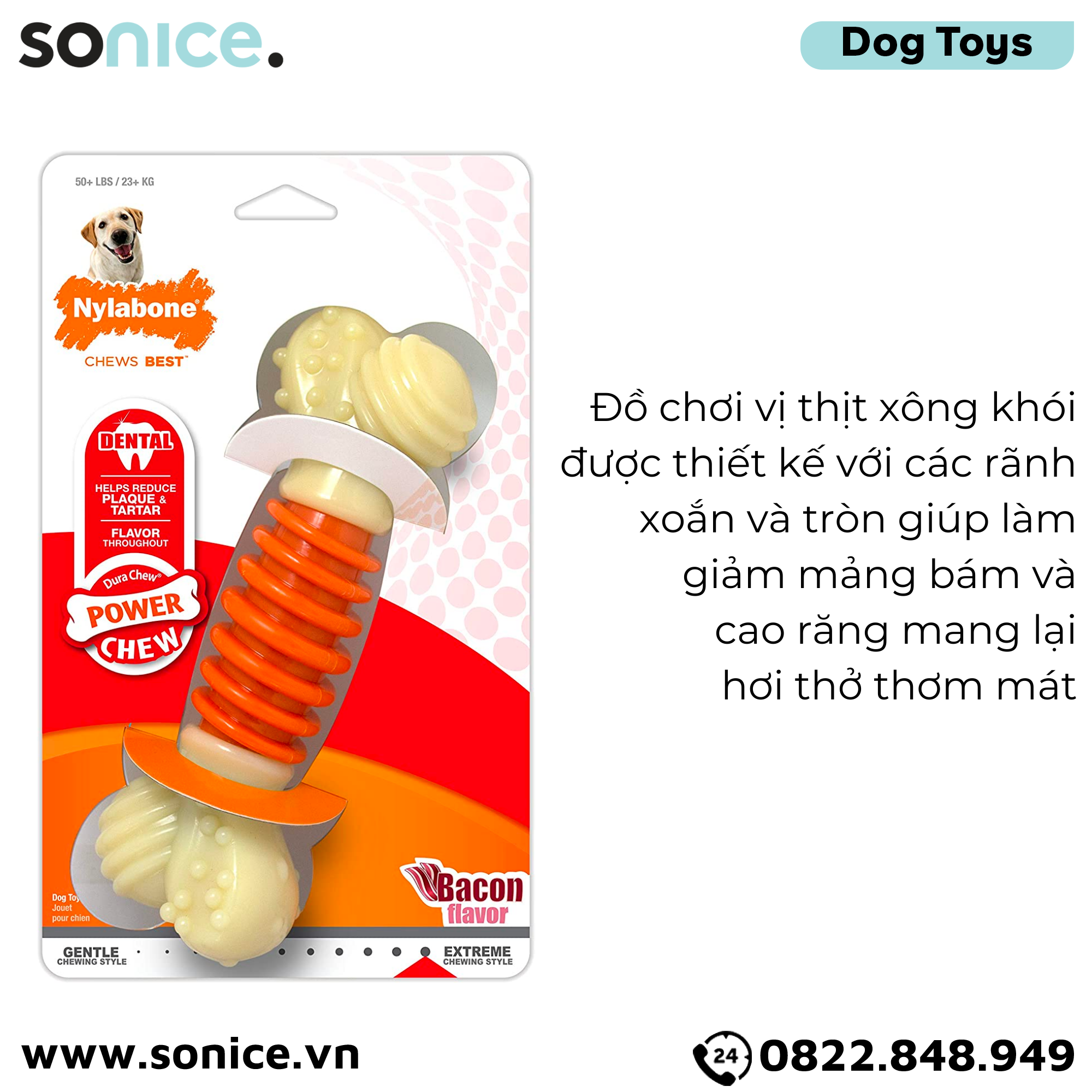 Đồ chơi Nylabone Dental Chews Plaque & Tartar Bacon Flavor Toys Large Size - Vị thịt xông khói, cho chó < 23kg SONICE.