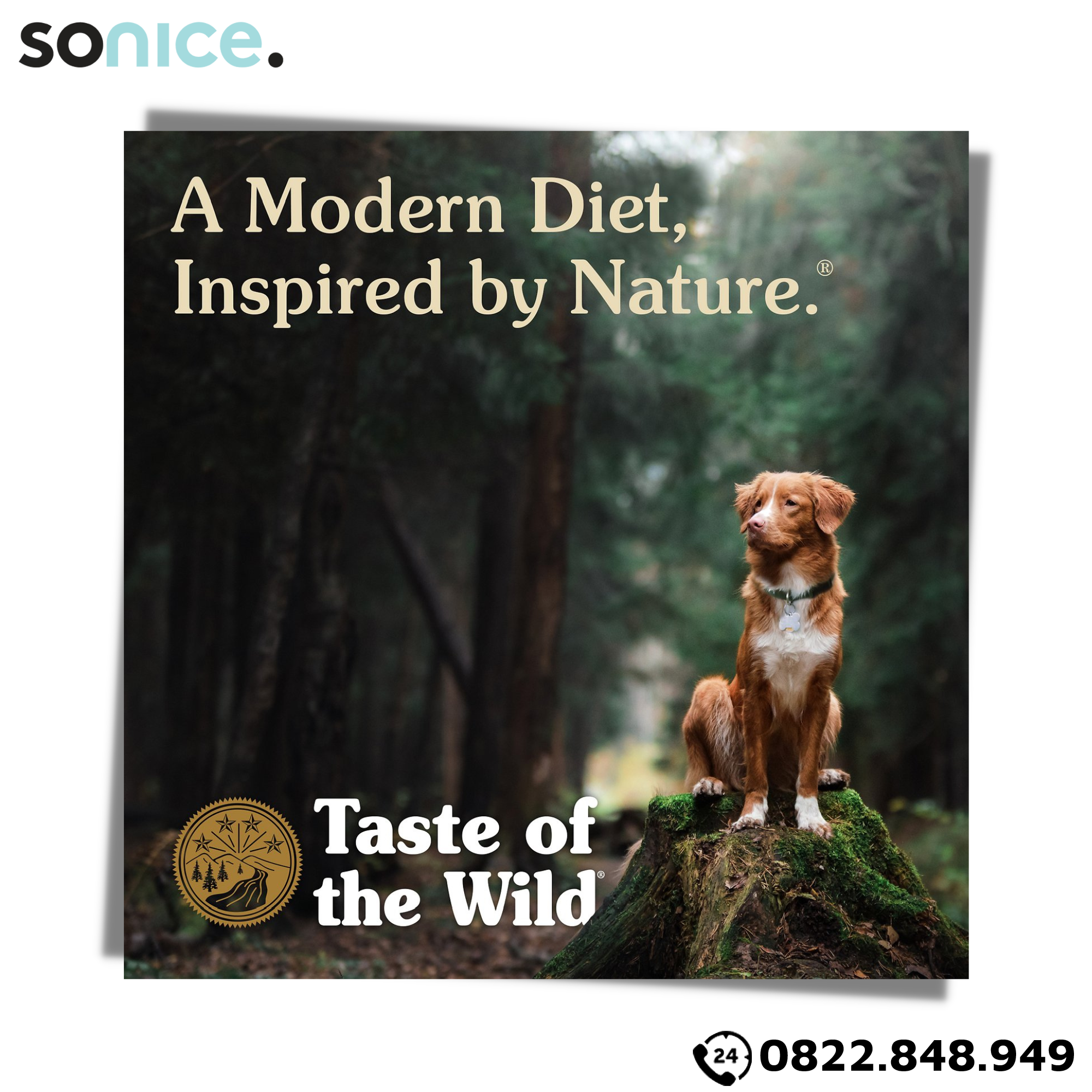 Thức ăn chó Taste Of The Wild Pacific Stream 6kg - Smoked Salmon, Cá Hồi Xông Khói - mọi lứa tuổi nhập USA SONICE.