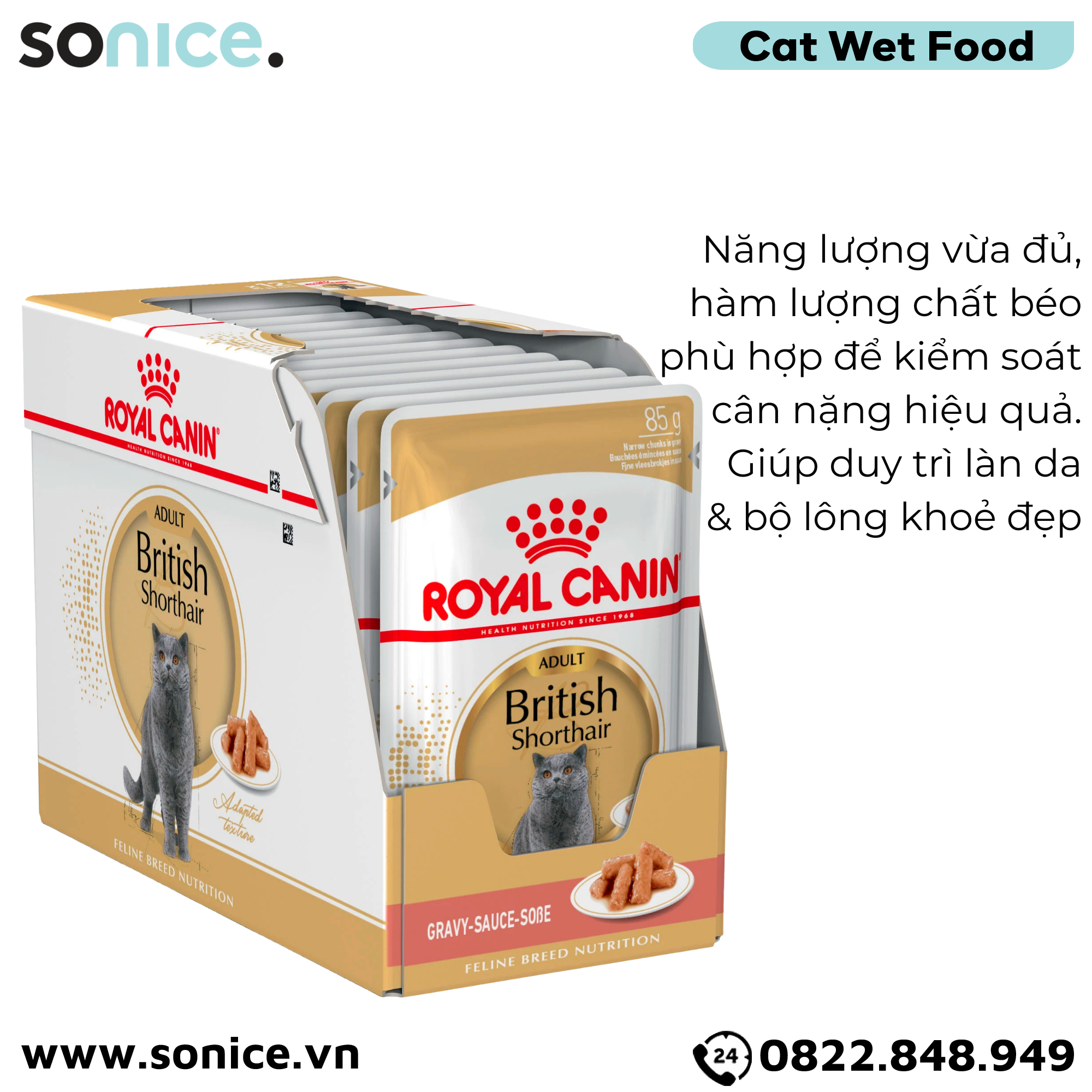 Pate mèo Royal Canin British Adult Gravy 85g - Hộp 12 gói SONICE.
