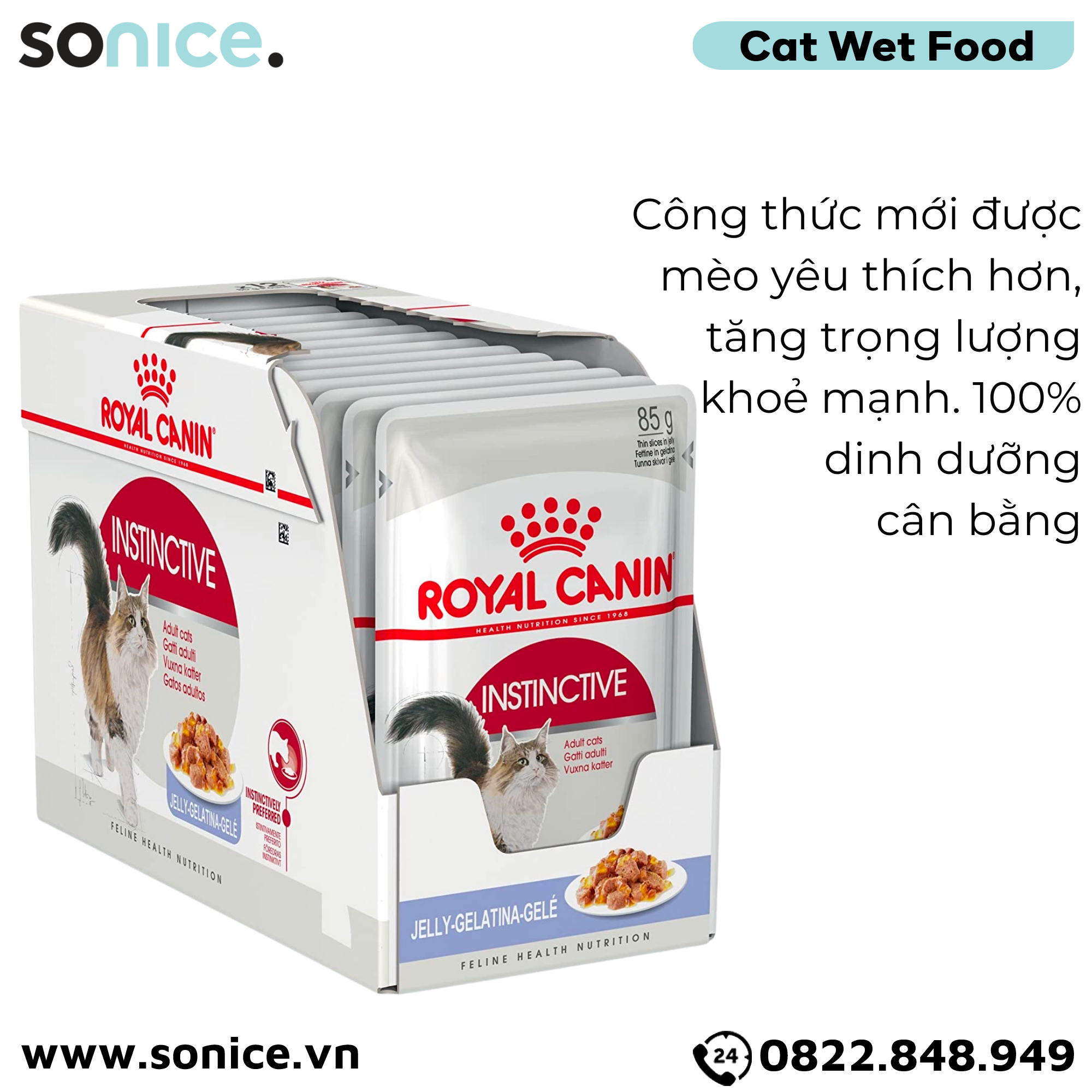 Pate mèo Royal Canin Instinctive Jelly 85g - Hộp 12 gói SONICE.