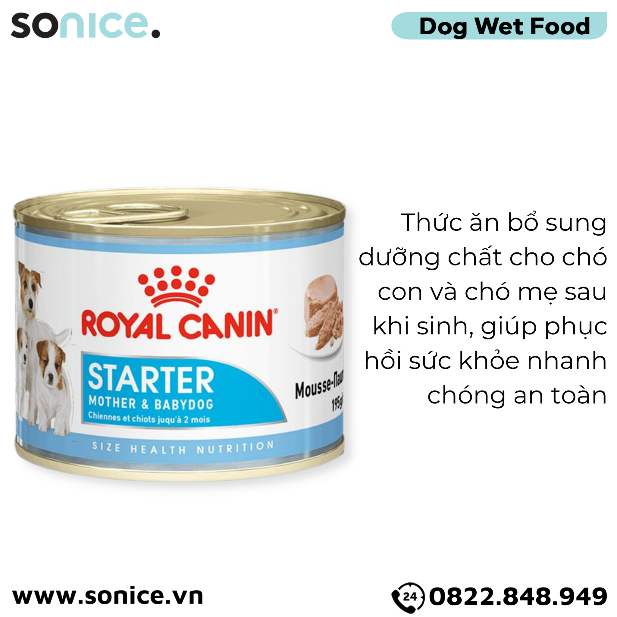 Pate chó Royal Canin Mini Starter Mother & BabyDog 195g - Chó mẹ mang thai & chó con < 2 tháng SONICE.