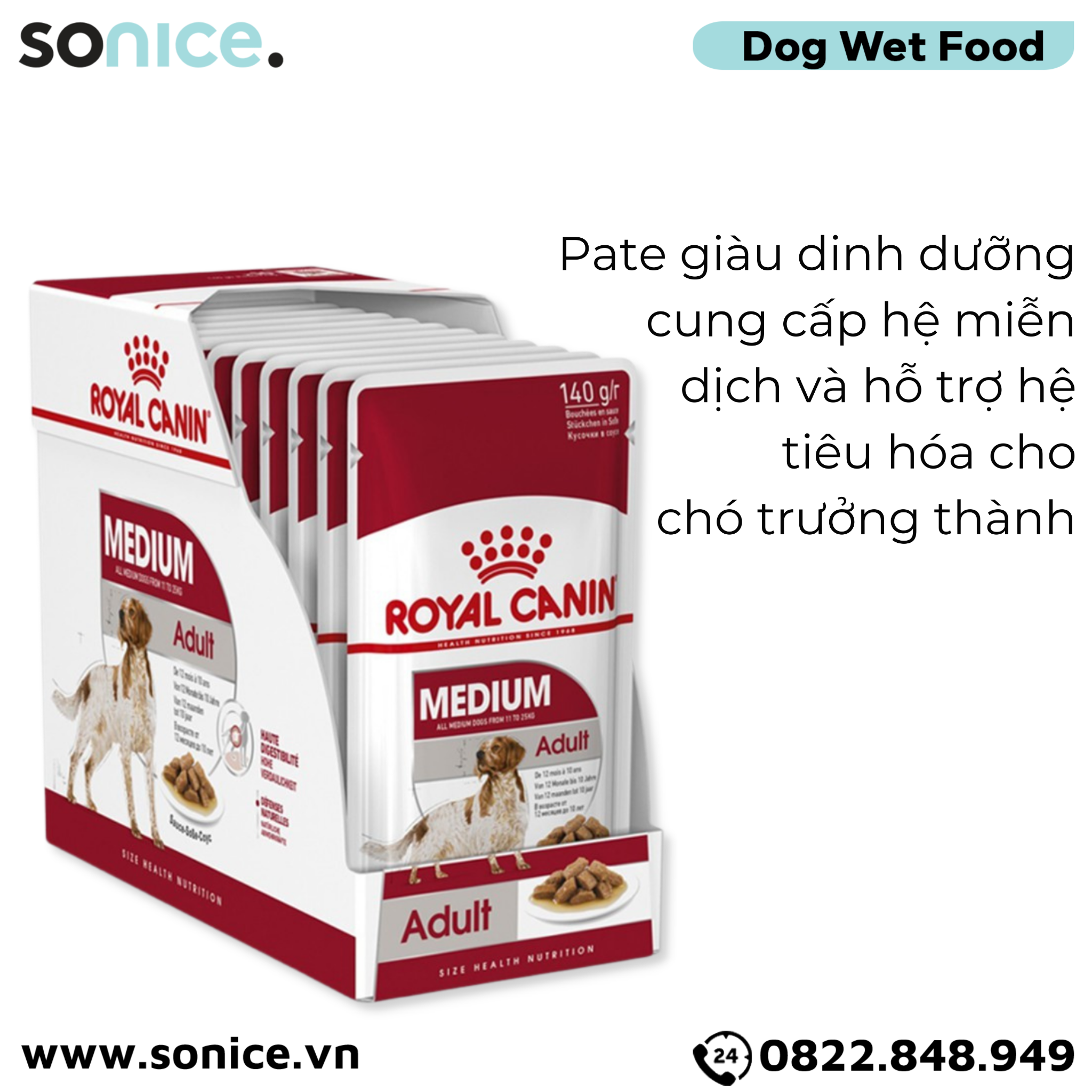 Pate chó Royal Canin Medium Adult - Gravy 1 hộp 10 gói SONICE.