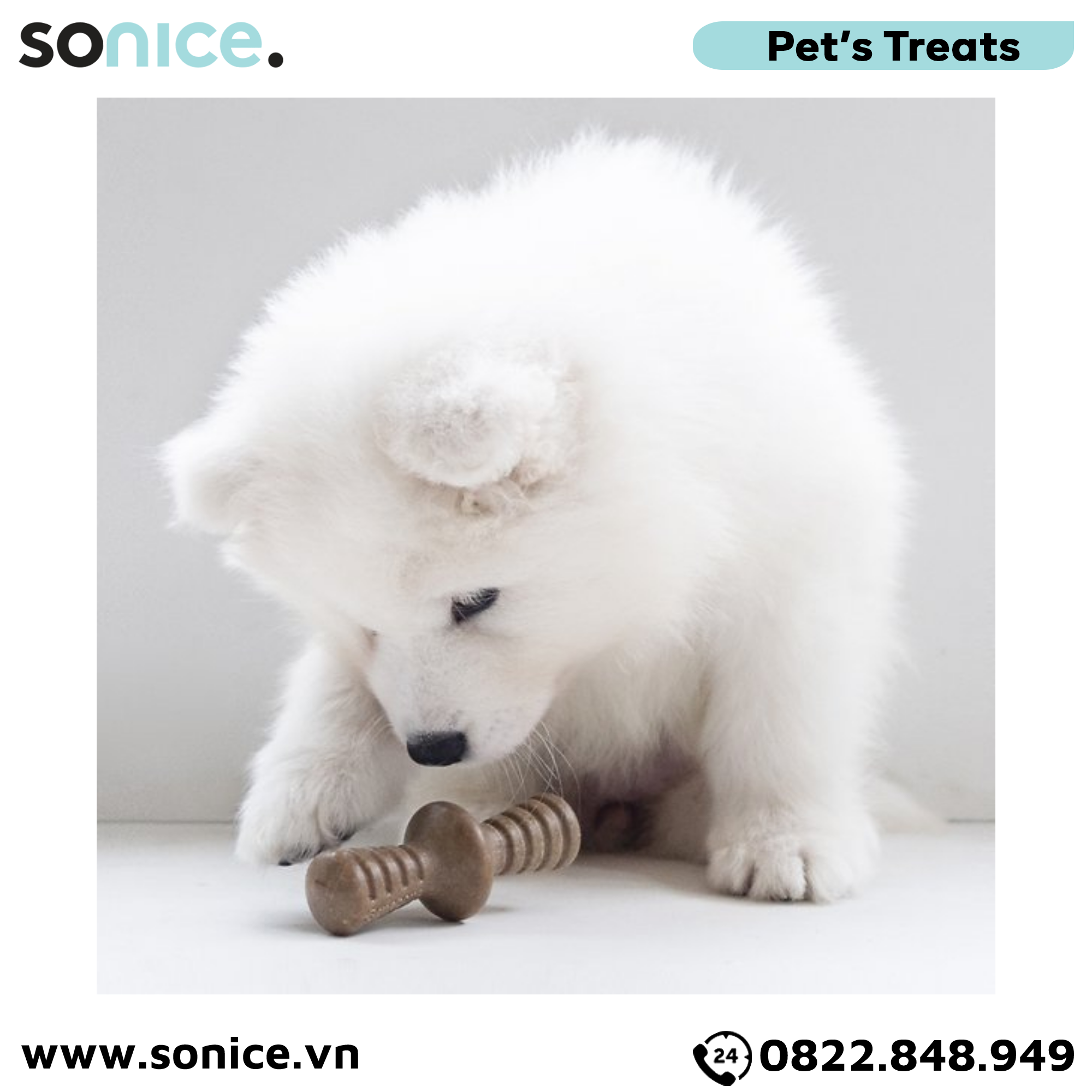 Combo 2 xương gặm Benebone Puppy Bacon & Maple Wood cho chó con vị thịt xông khói & gỗ cây phong SONICE.