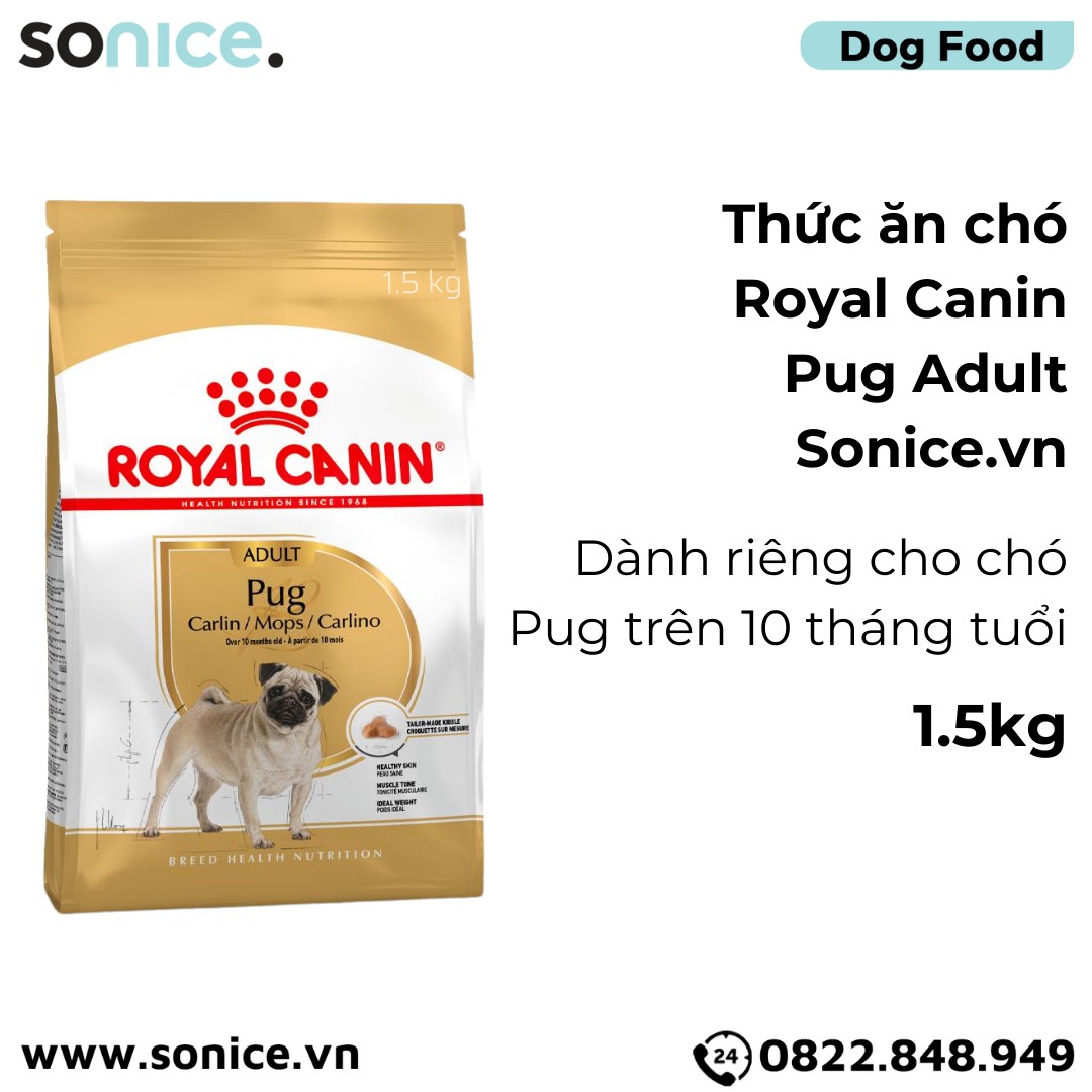 Thức ăn chó Royal Canin Pug Adult 1.5kg SONICE.