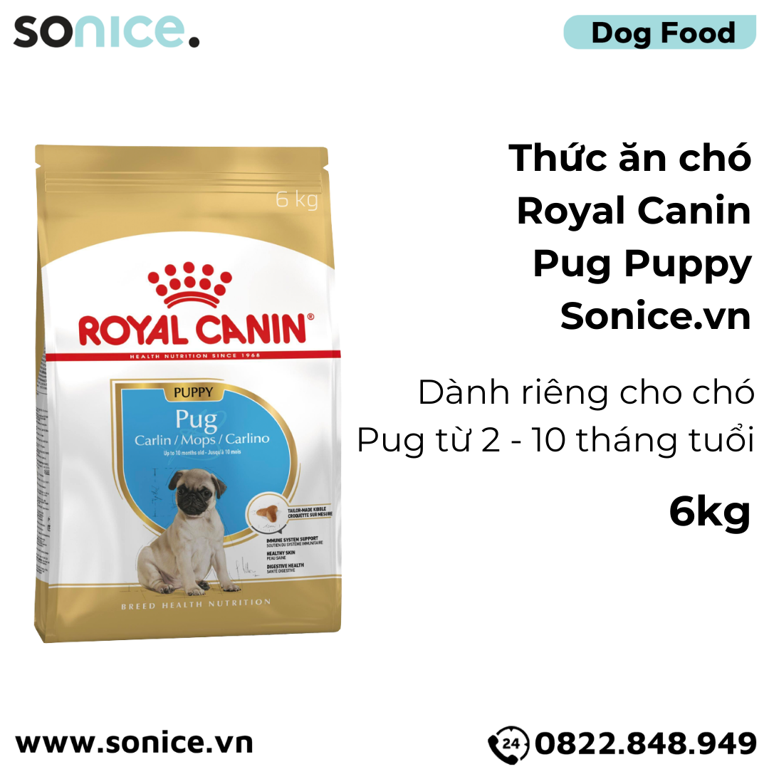 Thức ăn chó Royal Canin Pug Puppy 6kg SONICE.
