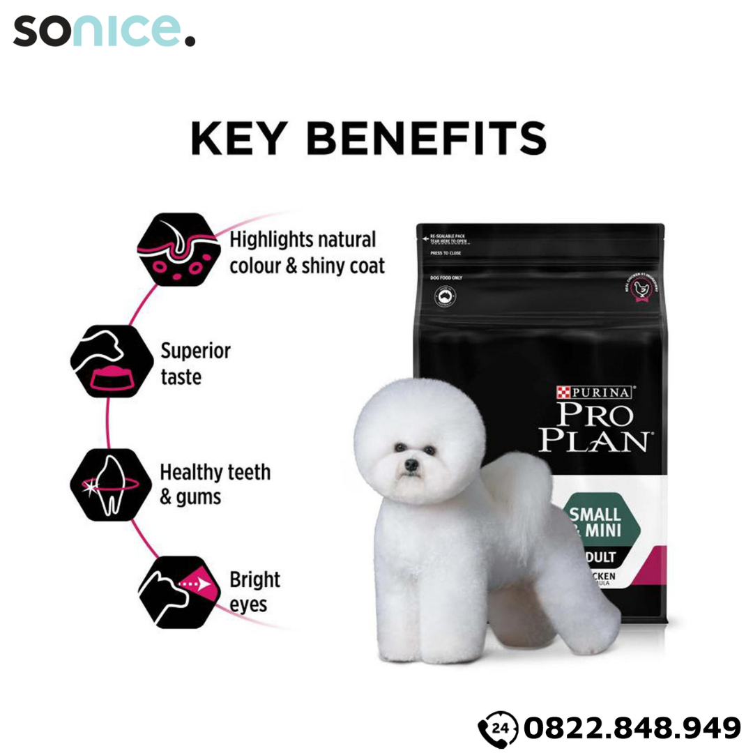 Thức ăn chó Purina PRO PLAN Small Mini Adult Fussy Beauty 2.5kg - chăm sóc da lông chó giống nhỏ SONICE.