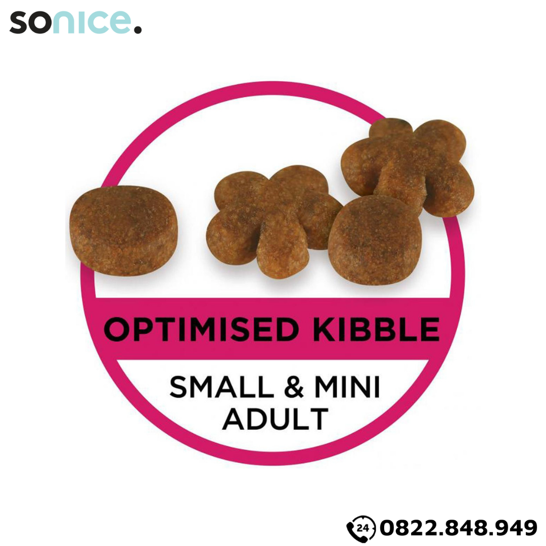 Thức ăn chó Purina PRO PLAN Small Mini Adult Fussy Beauty 2.5kg - chăm sóc da lông chó giống nhỏ SONICE.