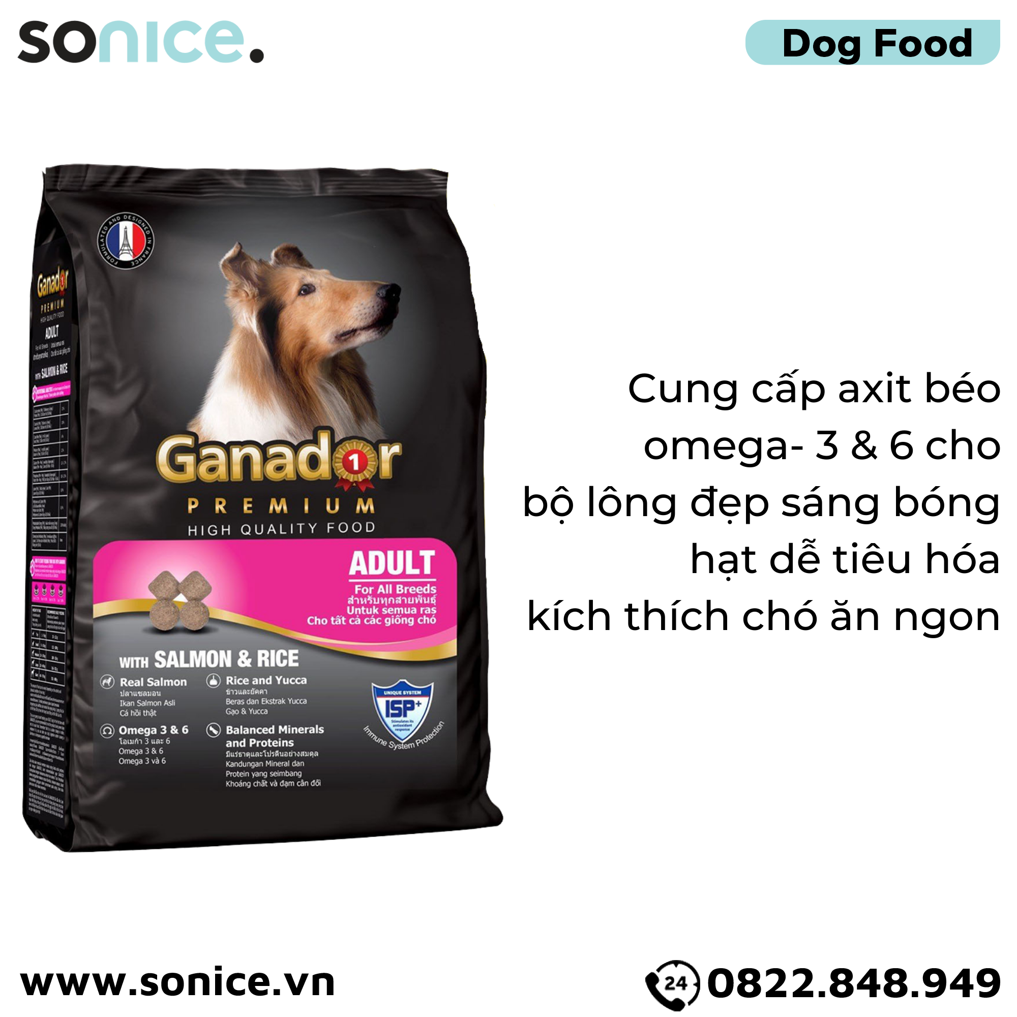 Thức ăn chó GANADOR Adult 20kg - Salmon & Rice SONICE.