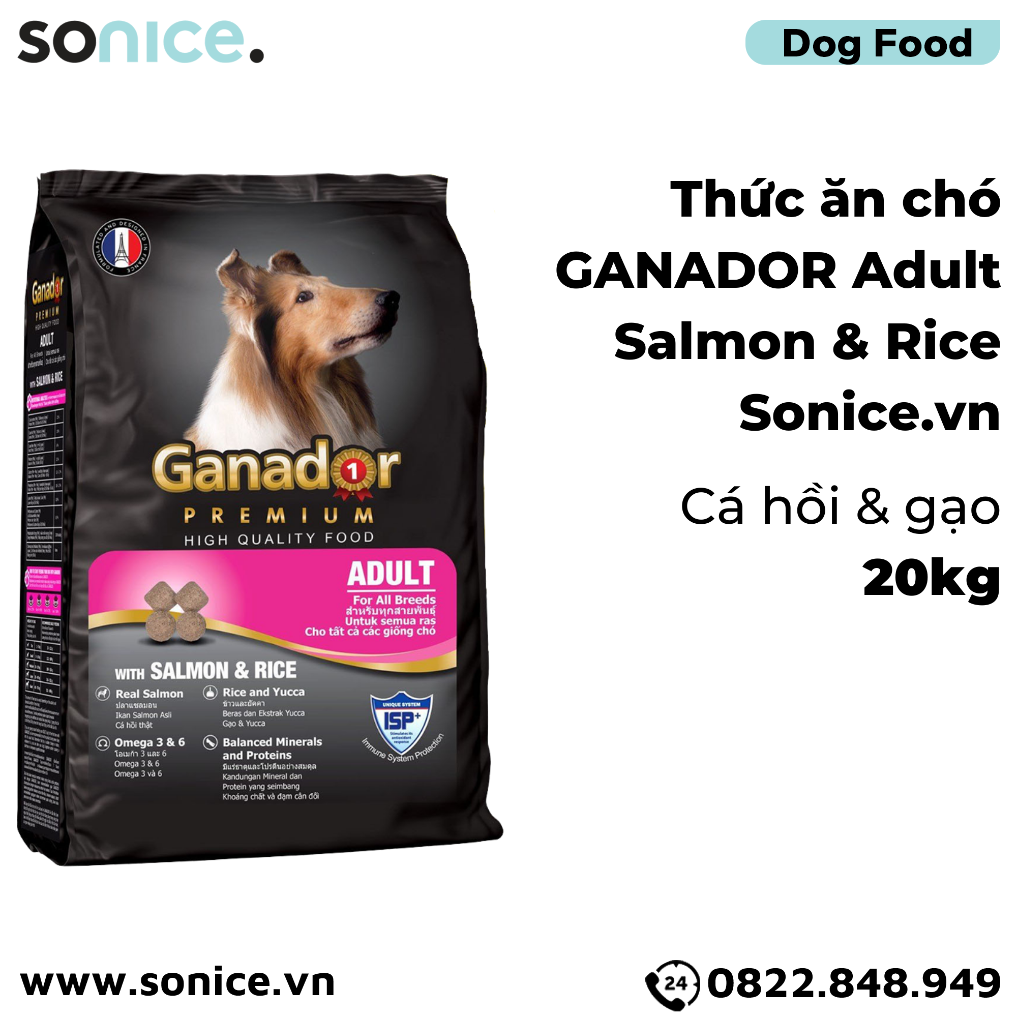 Thức ăn chó GANADOR Adult 20kg - Salmon & Rice SONICE.