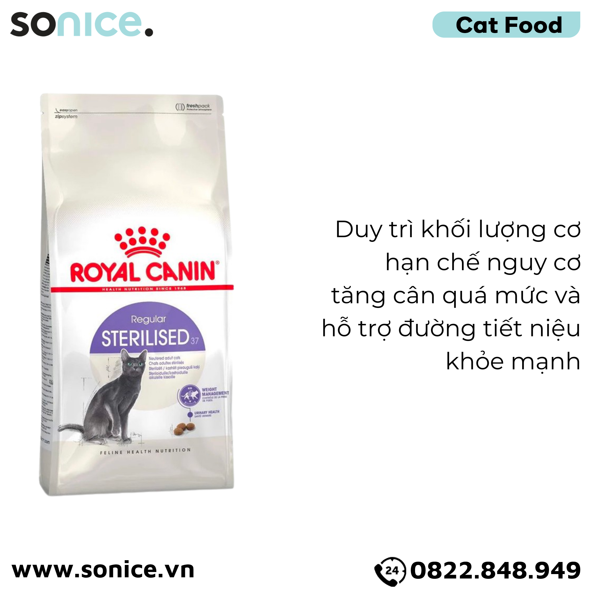 Thức ăn mèo Royal Canin Regular Sterilised - 2kg - Hỗ trợ mèo triệt sản SONICE.