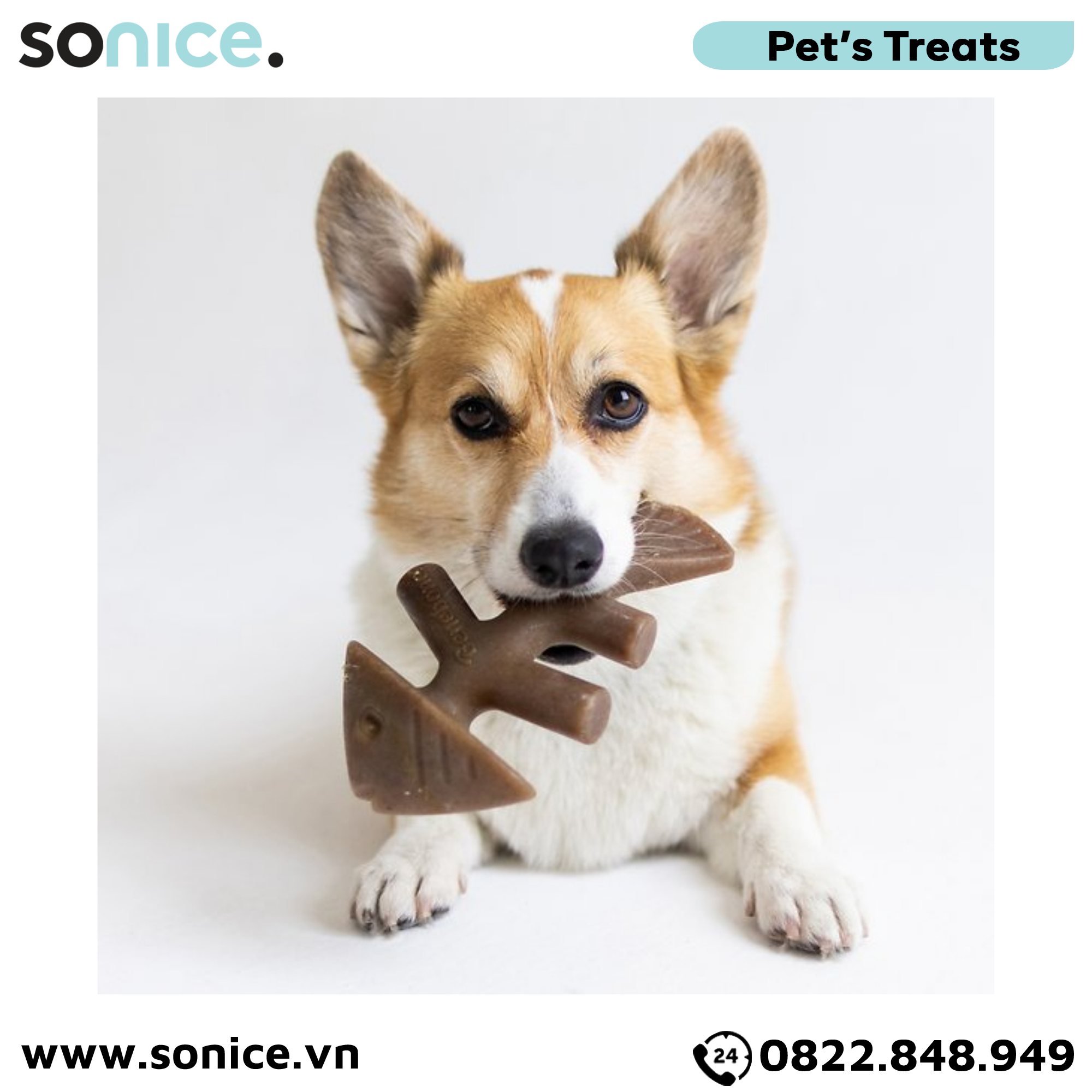 Xương gặm BENEBONE Fishbone Medium Size cho chó >30kg - vị cá hồi SONICE.