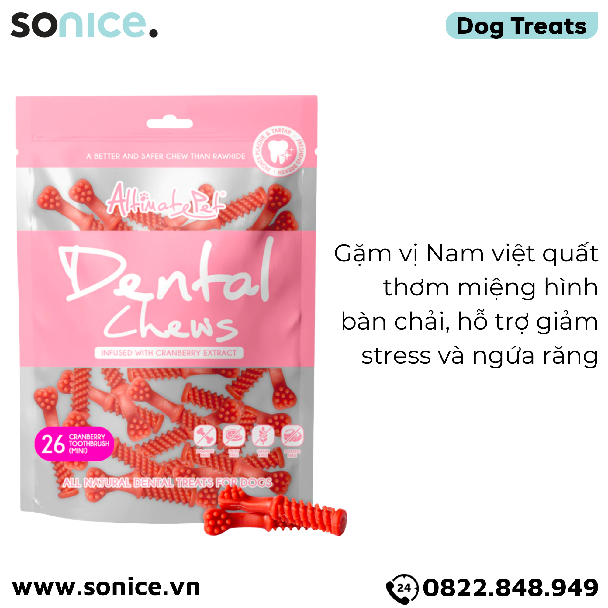 Xương gặm thơm miệng Dental Chews Toothbrush size Mini 150g - 26 cranberry - Bàn chải vị Nam việt quất SONICE.