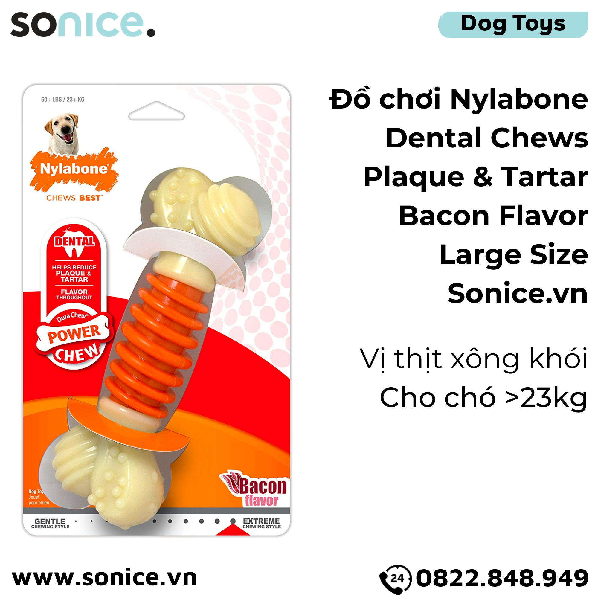 Đồ chơi Nylabone Dental Chews Plaque & Tartar Bacon Flavor Toys Large Size - Vị thịt xông khói, cho chó < 23kg SONICE.