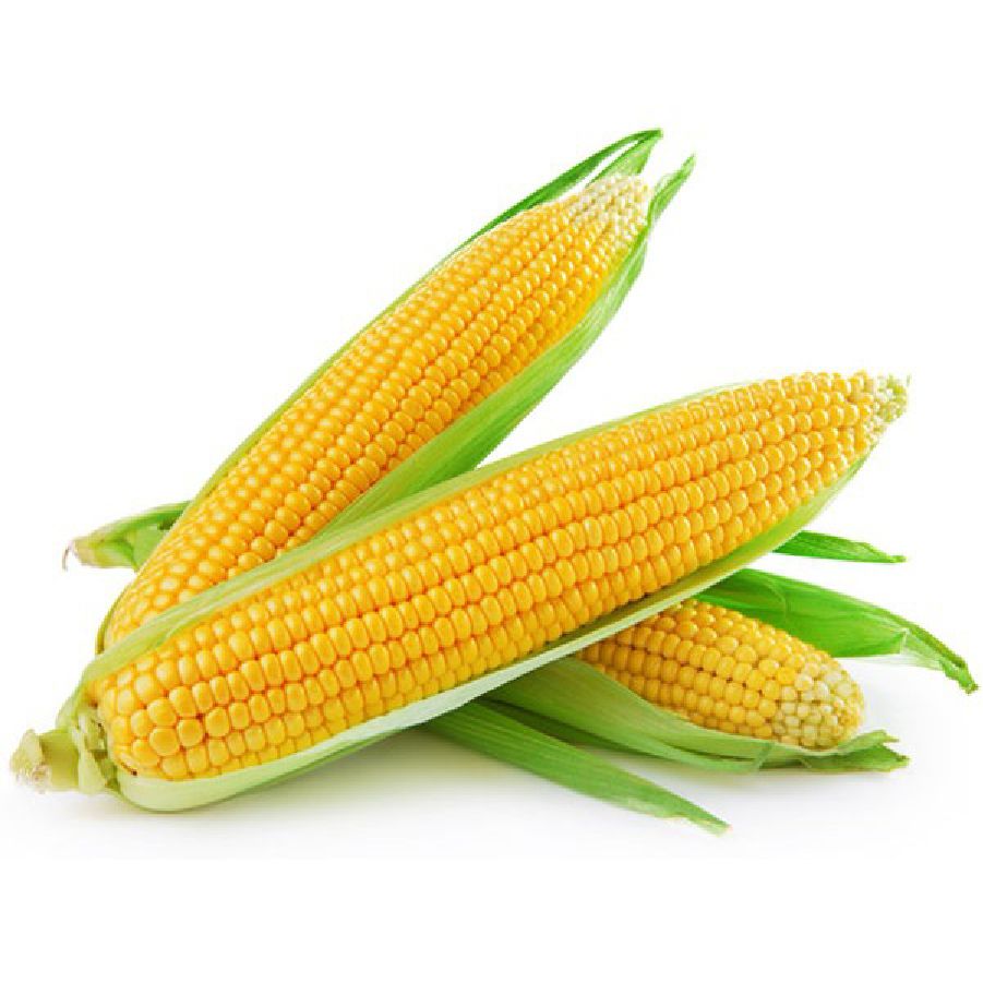 Bắp Mỹ (Khay 400G-500G)