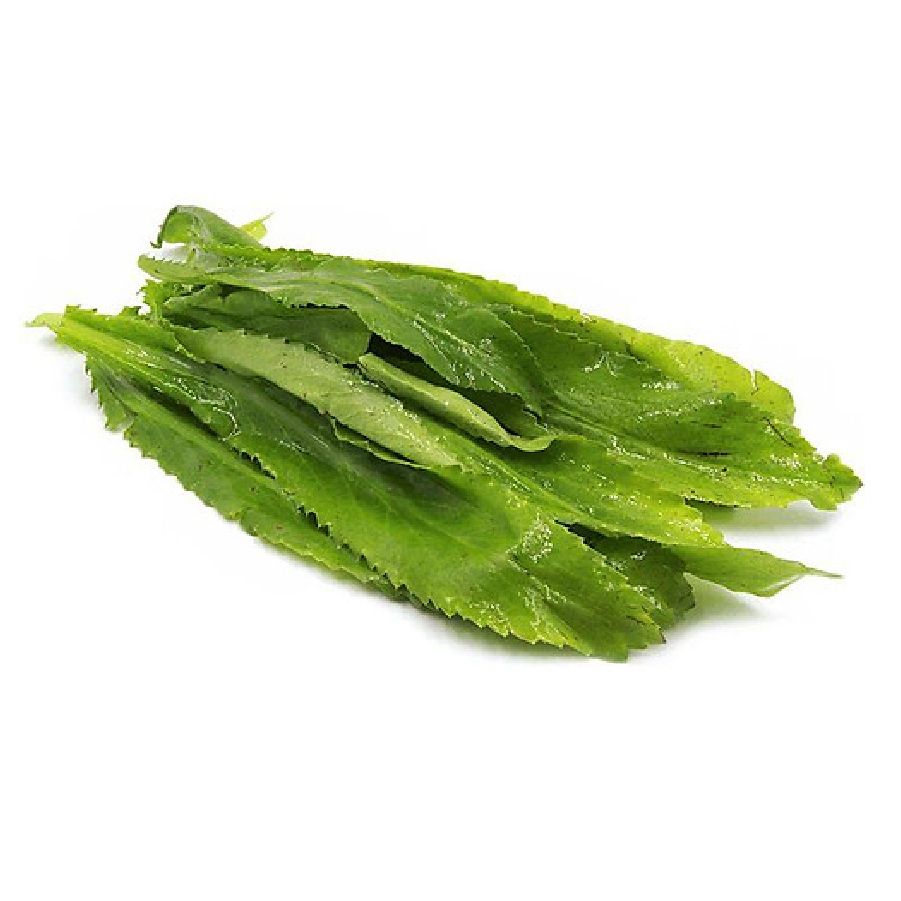 Ngò Gai (Túi 100G-200G)