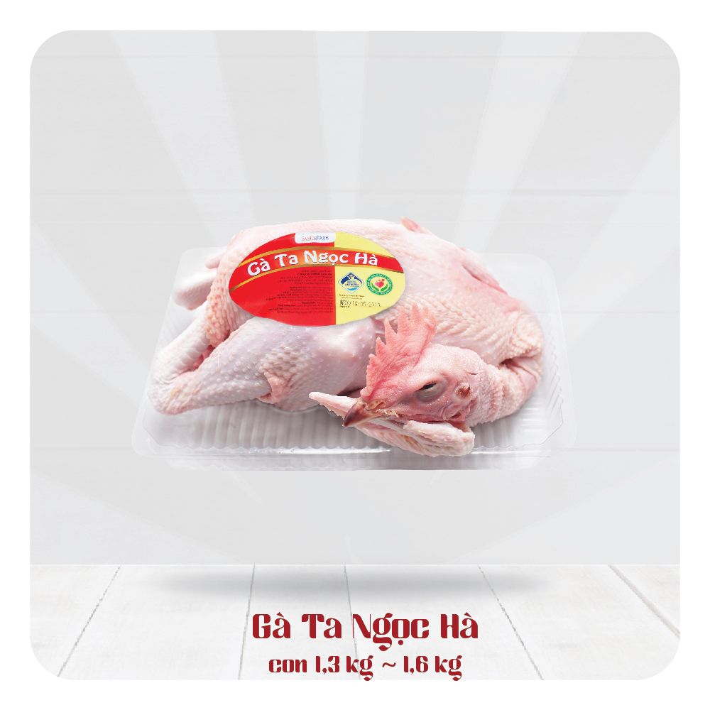 Gà Ta Ngọc Hà