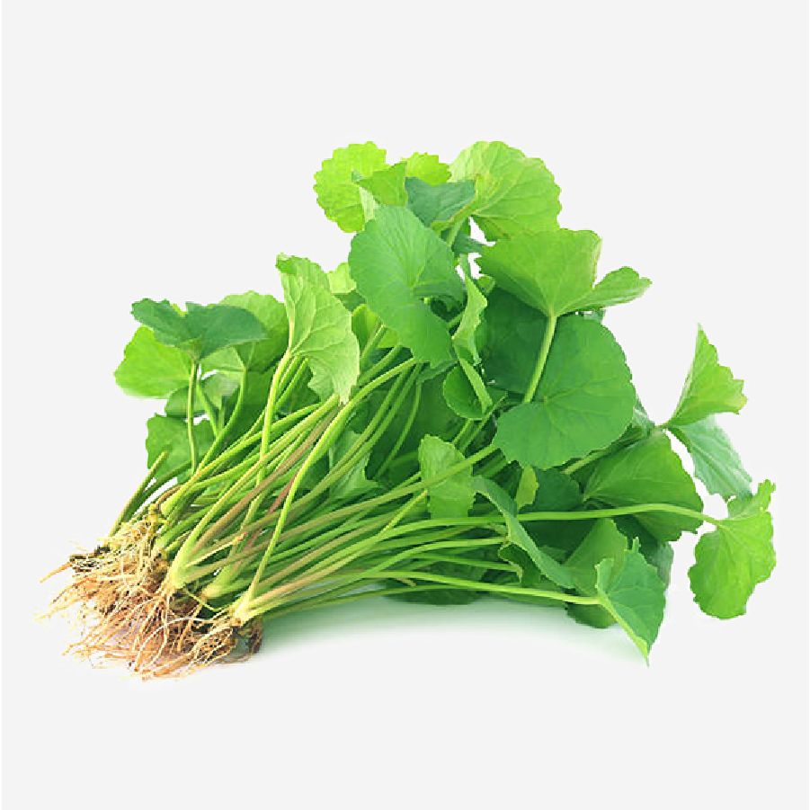 Rau Má (Túi 400G-500G)