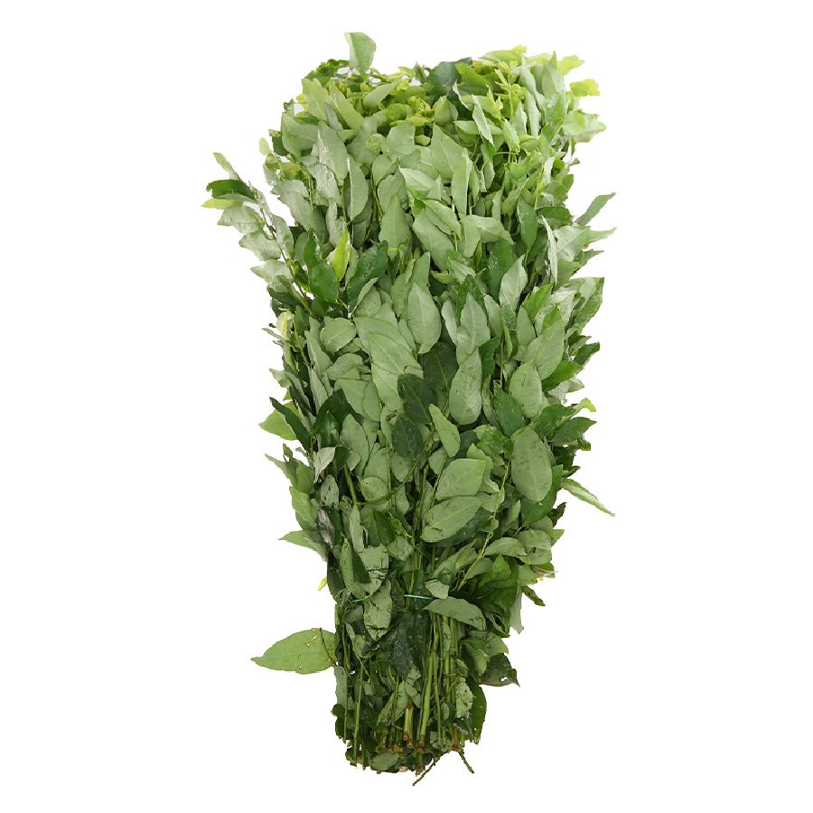Rau Ngót (Túi 300G-400G)