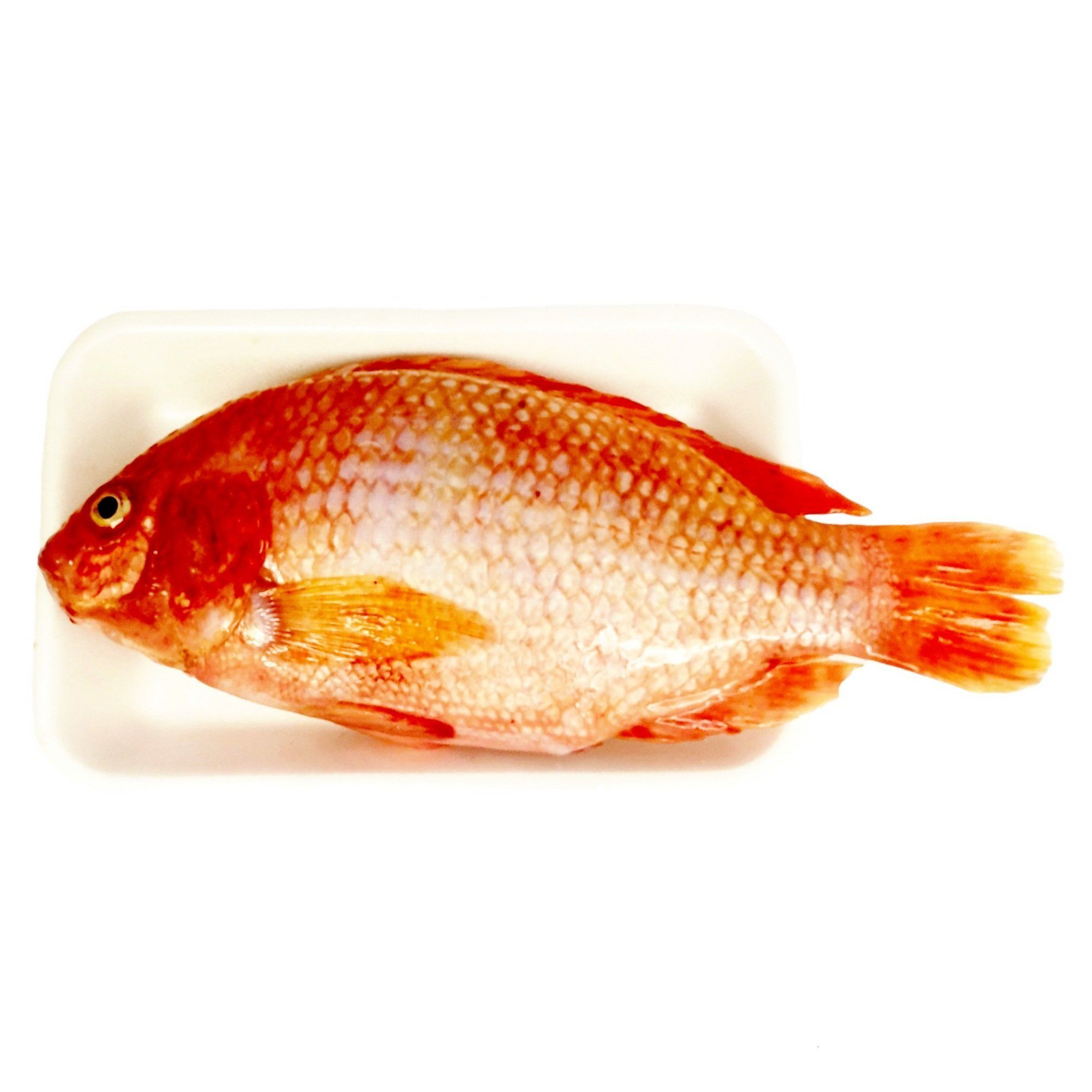 Cá Diêu Hồng (600g-1kg)