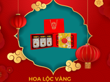  Hoa lộc vàng - Túi Ivory đỏ 3 lọ (hũ) 200g BÒ MIẾNG (Có Hộp chia ngăn bên trong) 