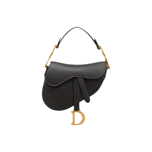 Mini Saddle Dior