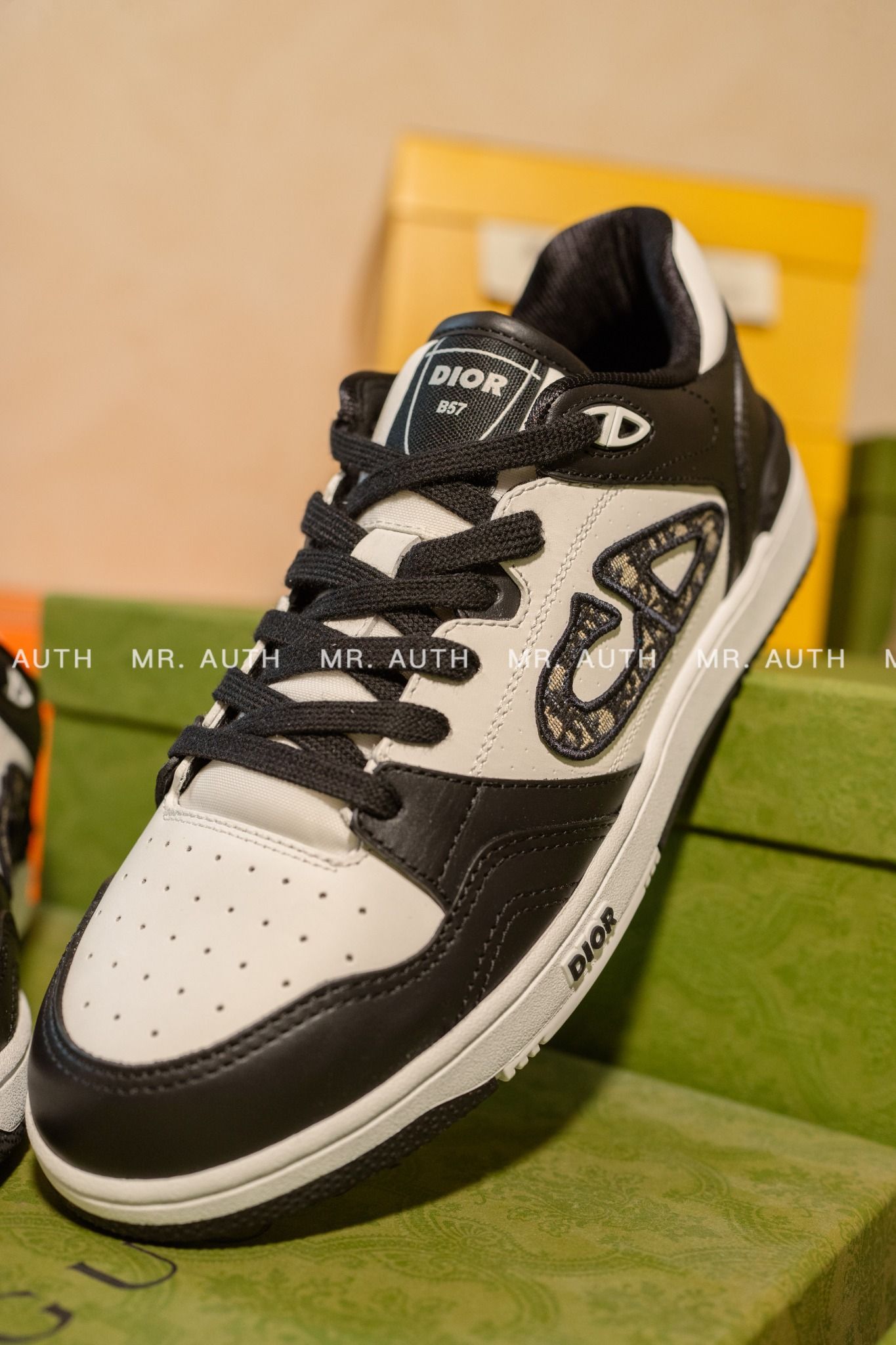 Dior B57 Low-Top Sneaker