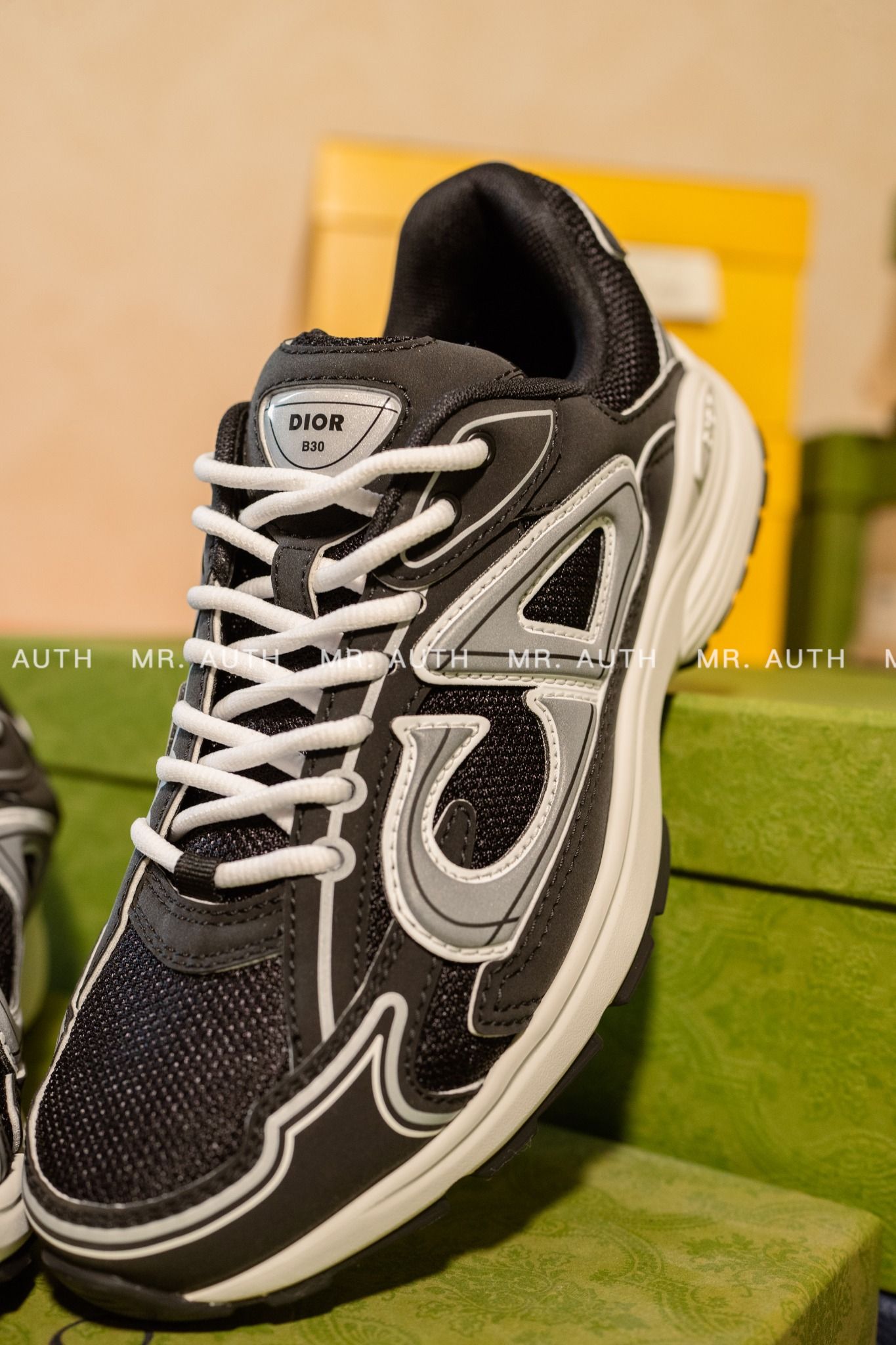 Dior B30 Sneaker