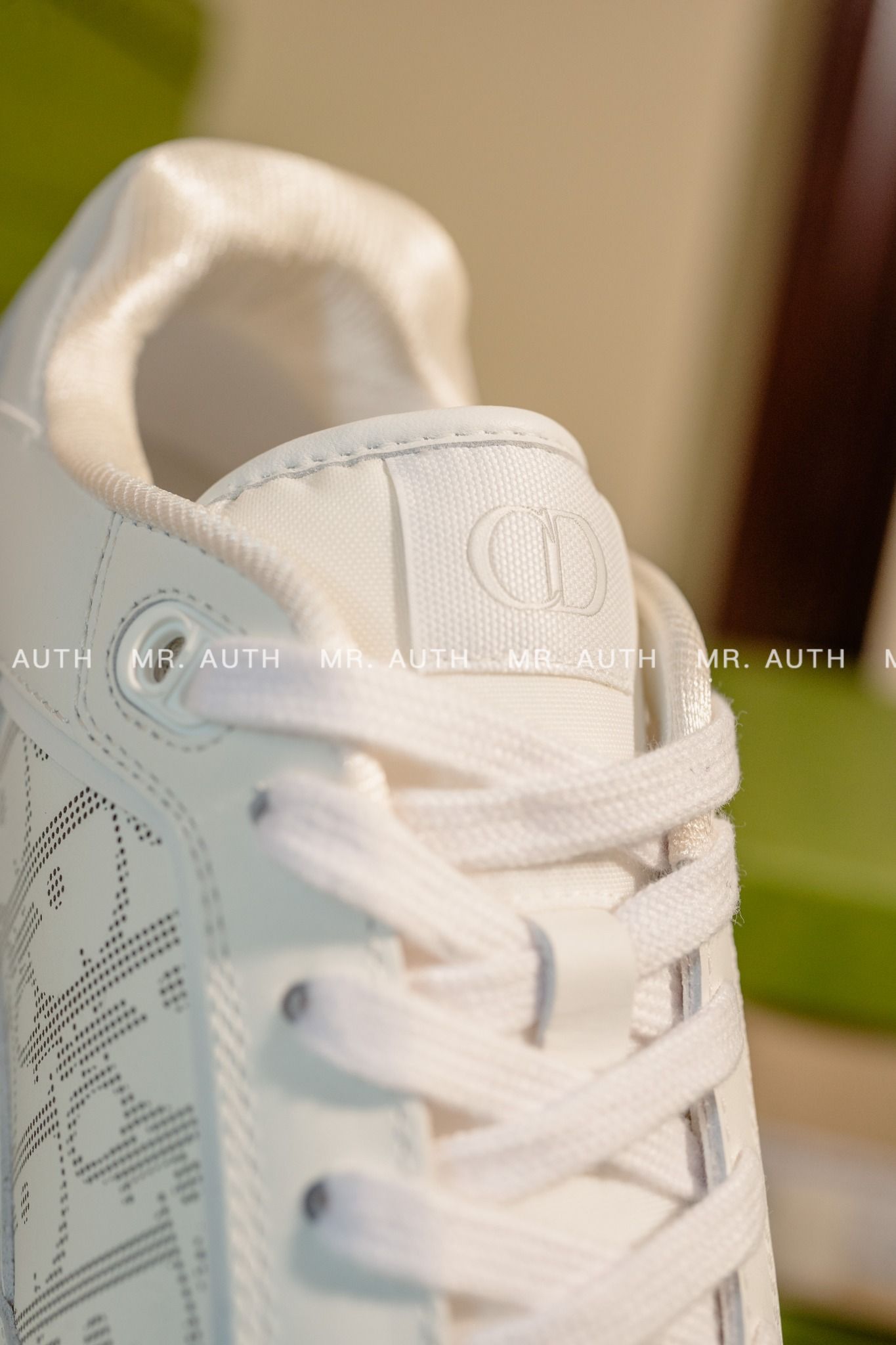 Dior B27 Low-Top Sneaker