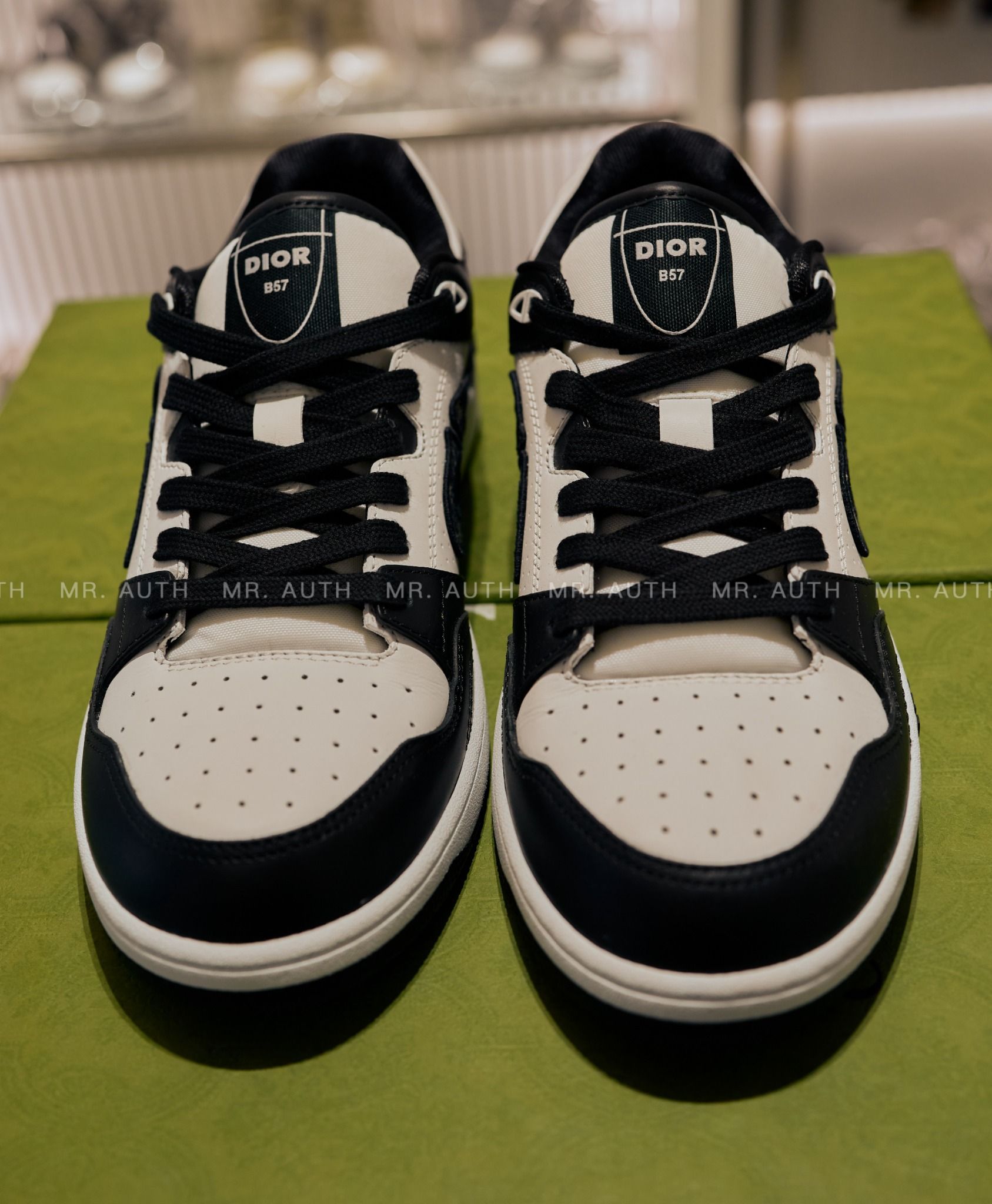 Dior B57 Low-Top Sneaker
