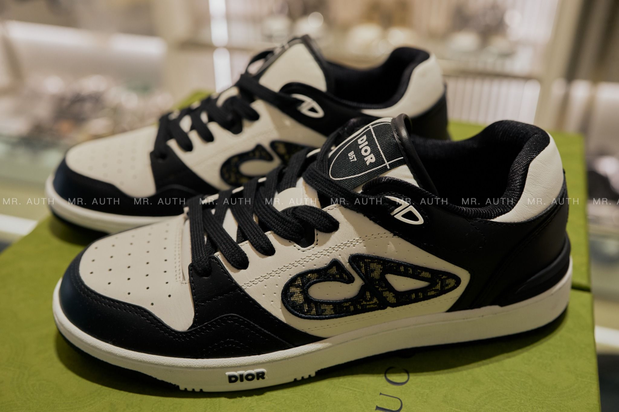 Dior B57 Low-Top Sneaker