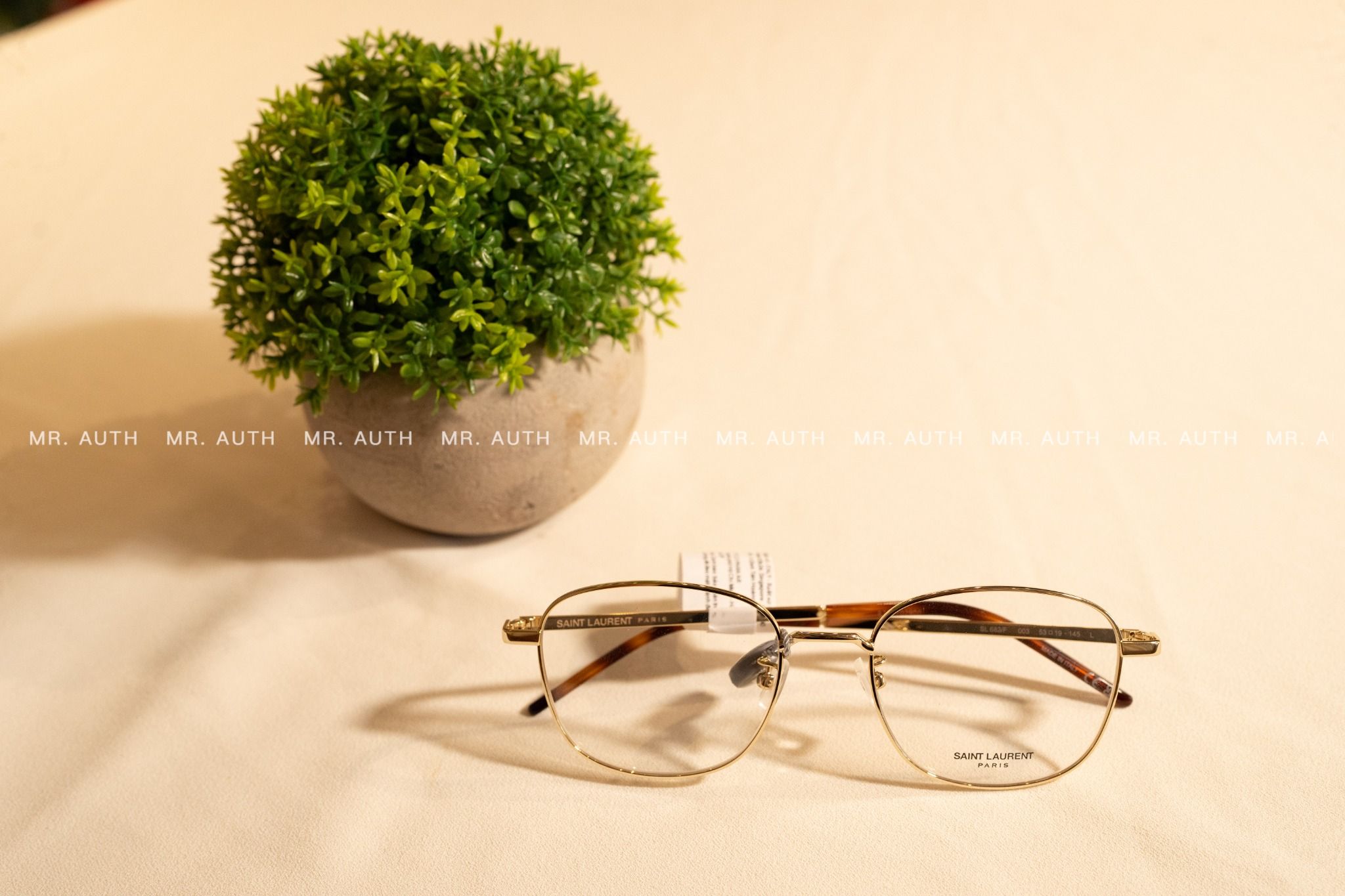 Saint Laurent Glasses