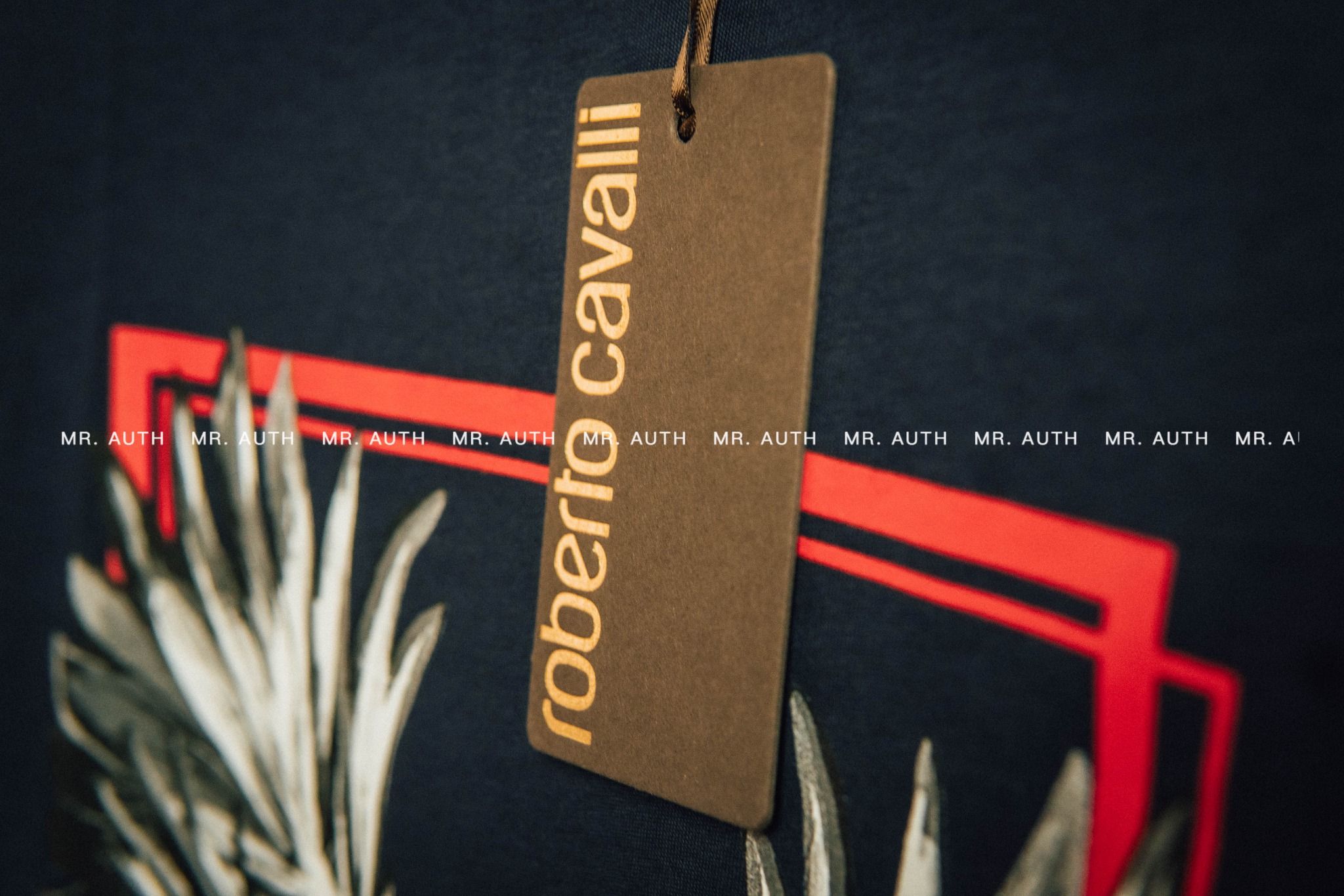 Áo Roberto Cavalli T-Shirt.