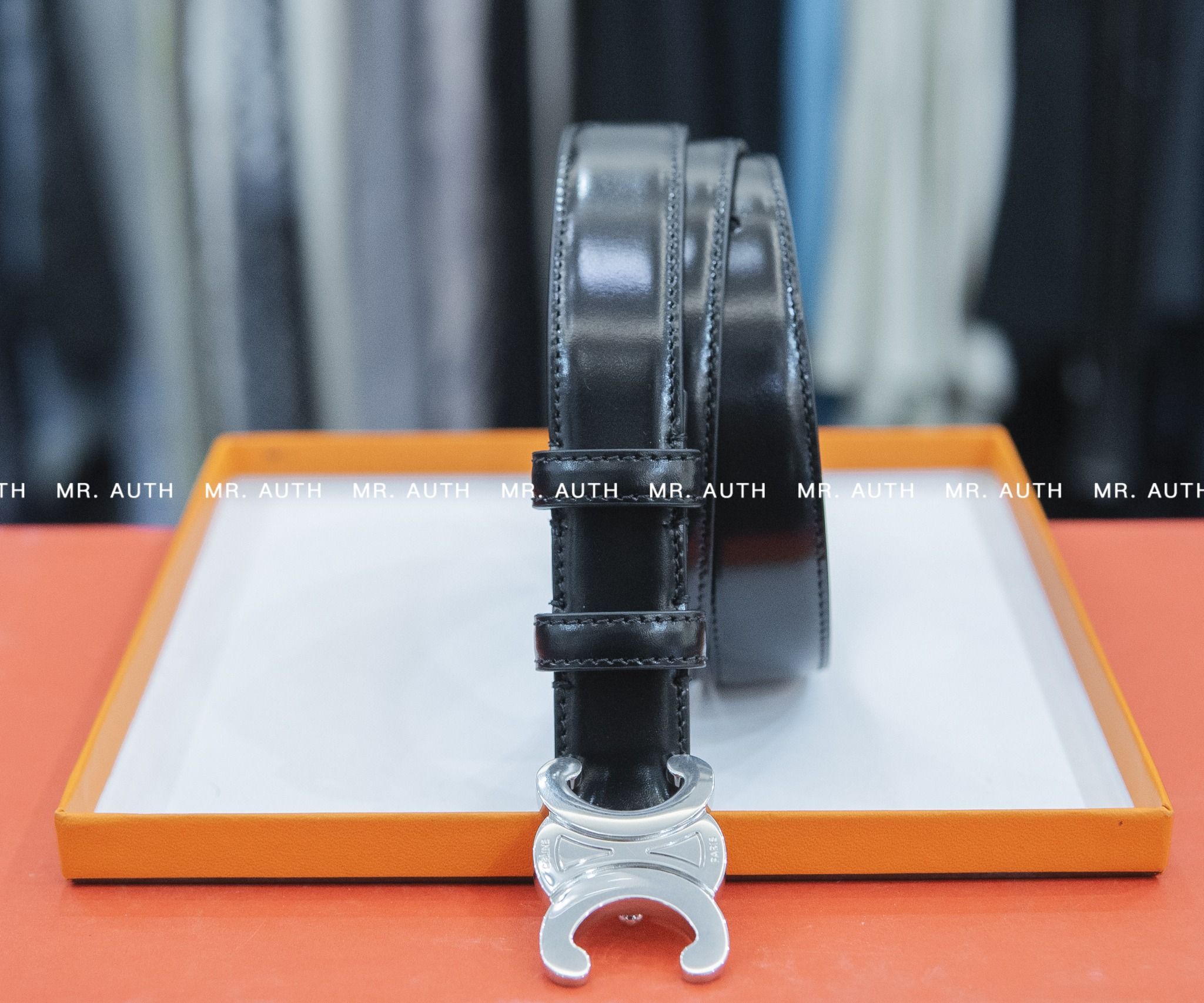 Celine Large Triomphe Belt in Vintage Calfskin