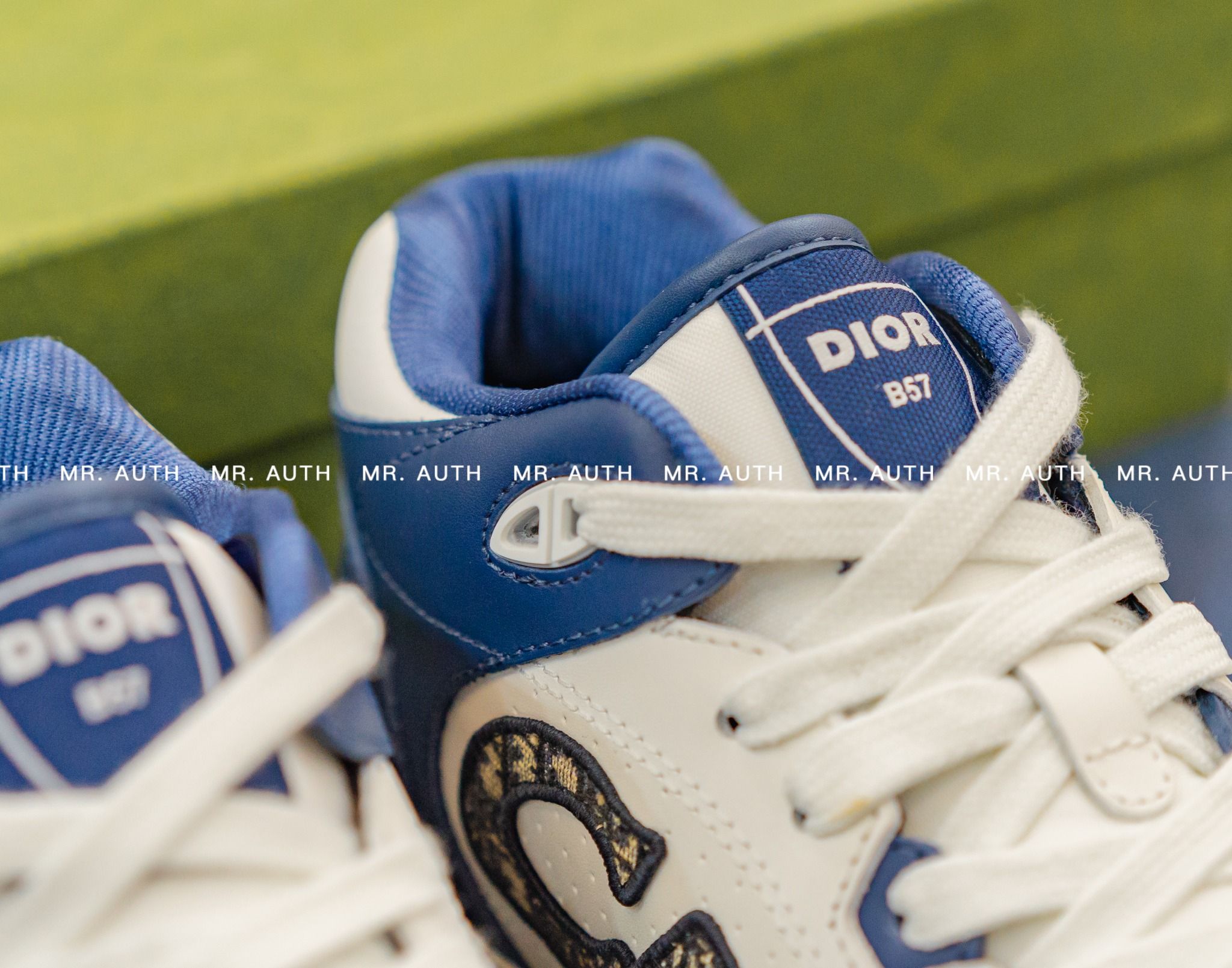 Dior B57 Low-Top Sneaker.