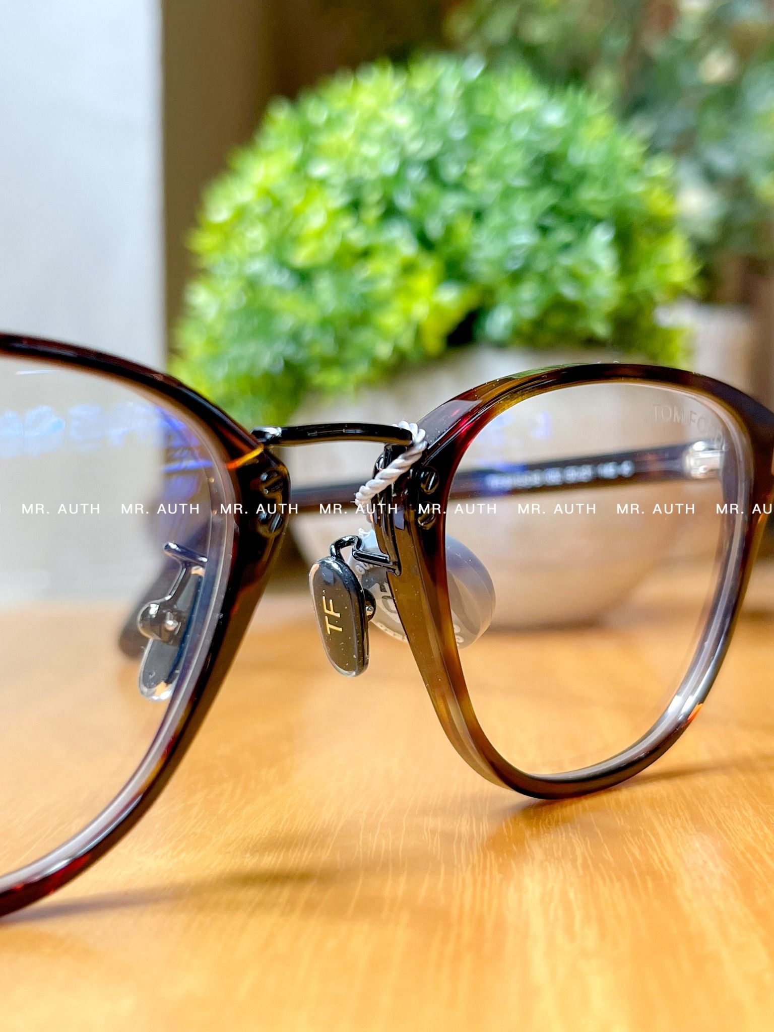 Tom Ford Glasses