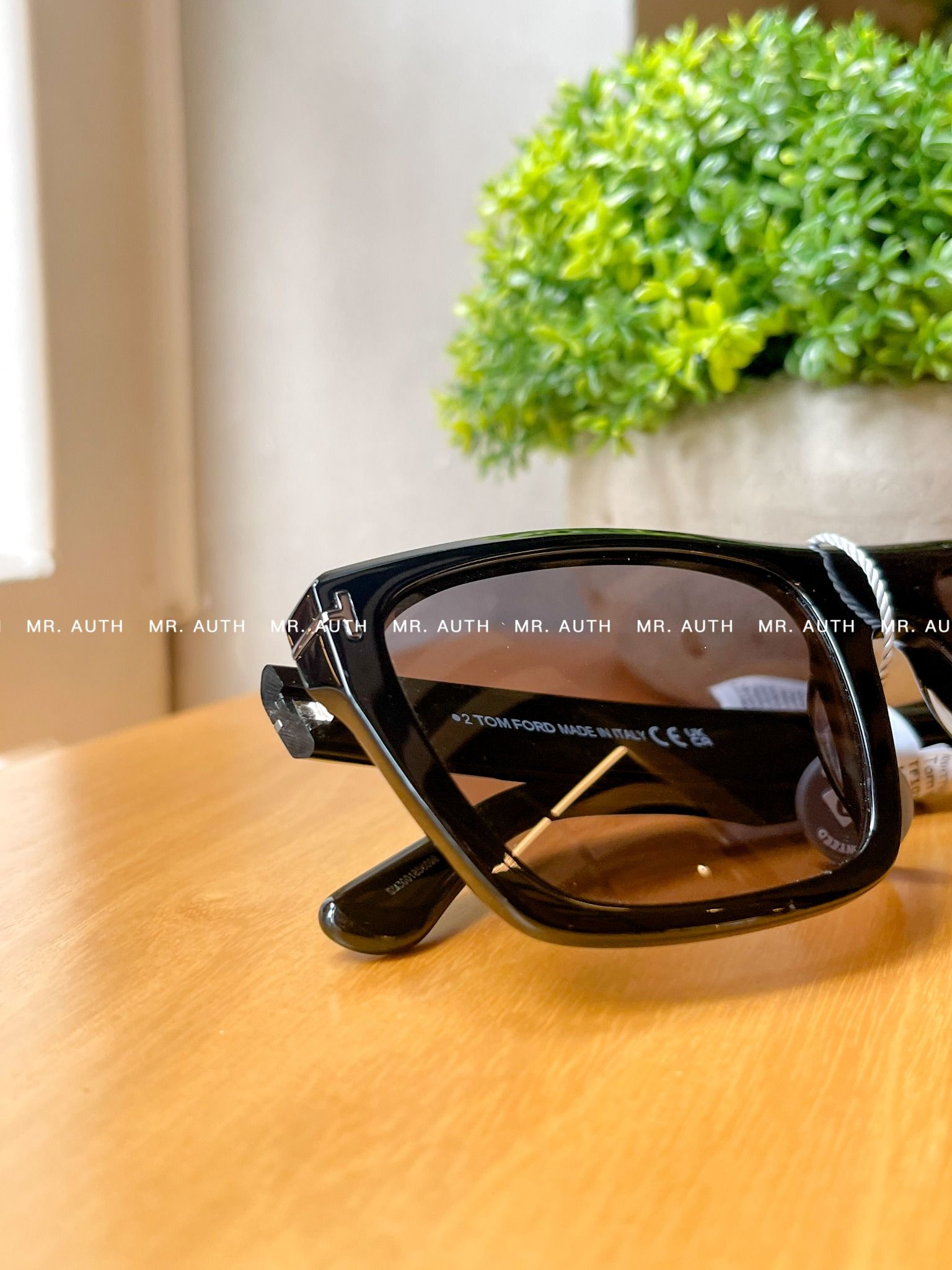 Tom Ford Sunglasses