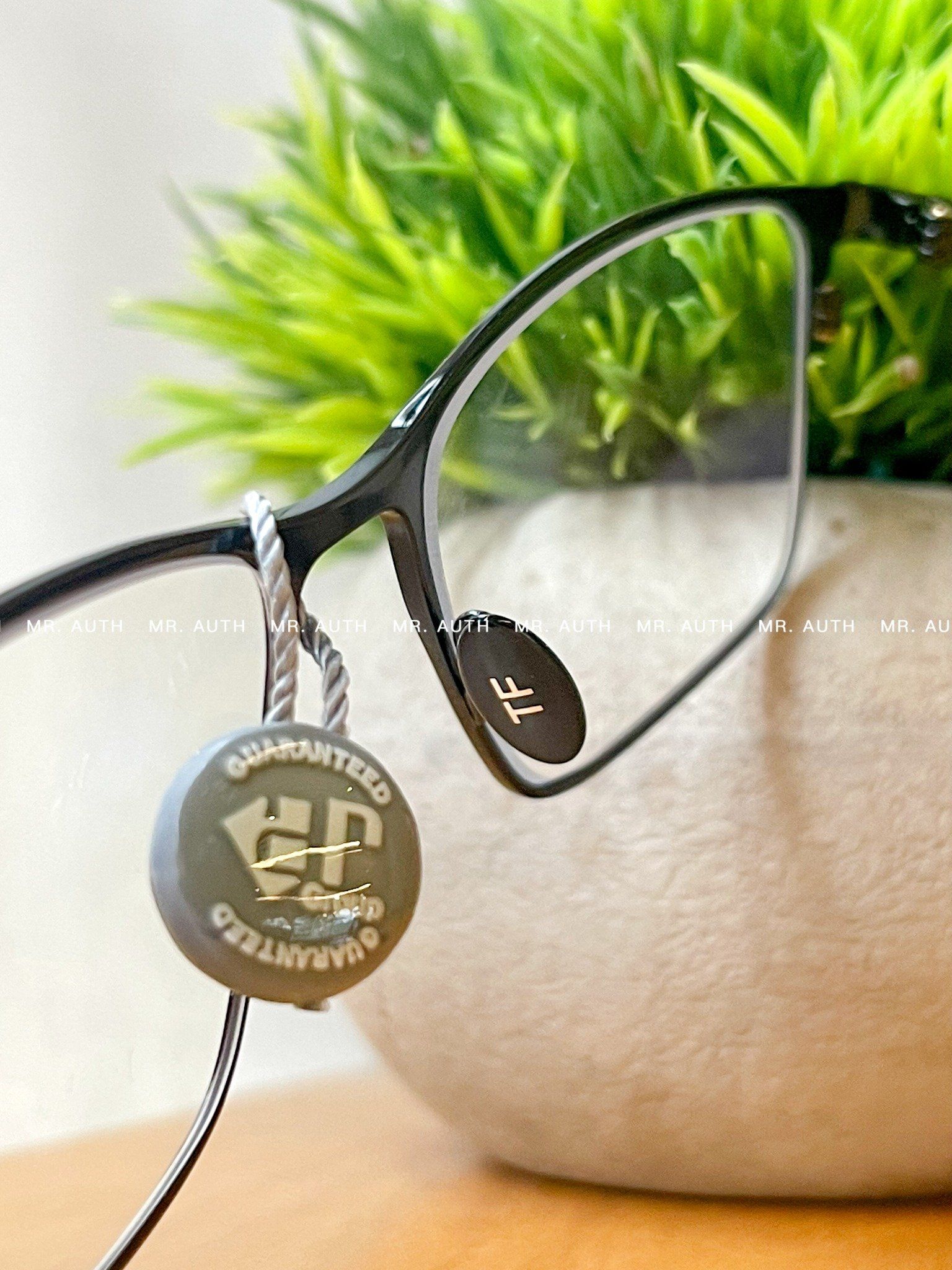 Tom Ford Glasses