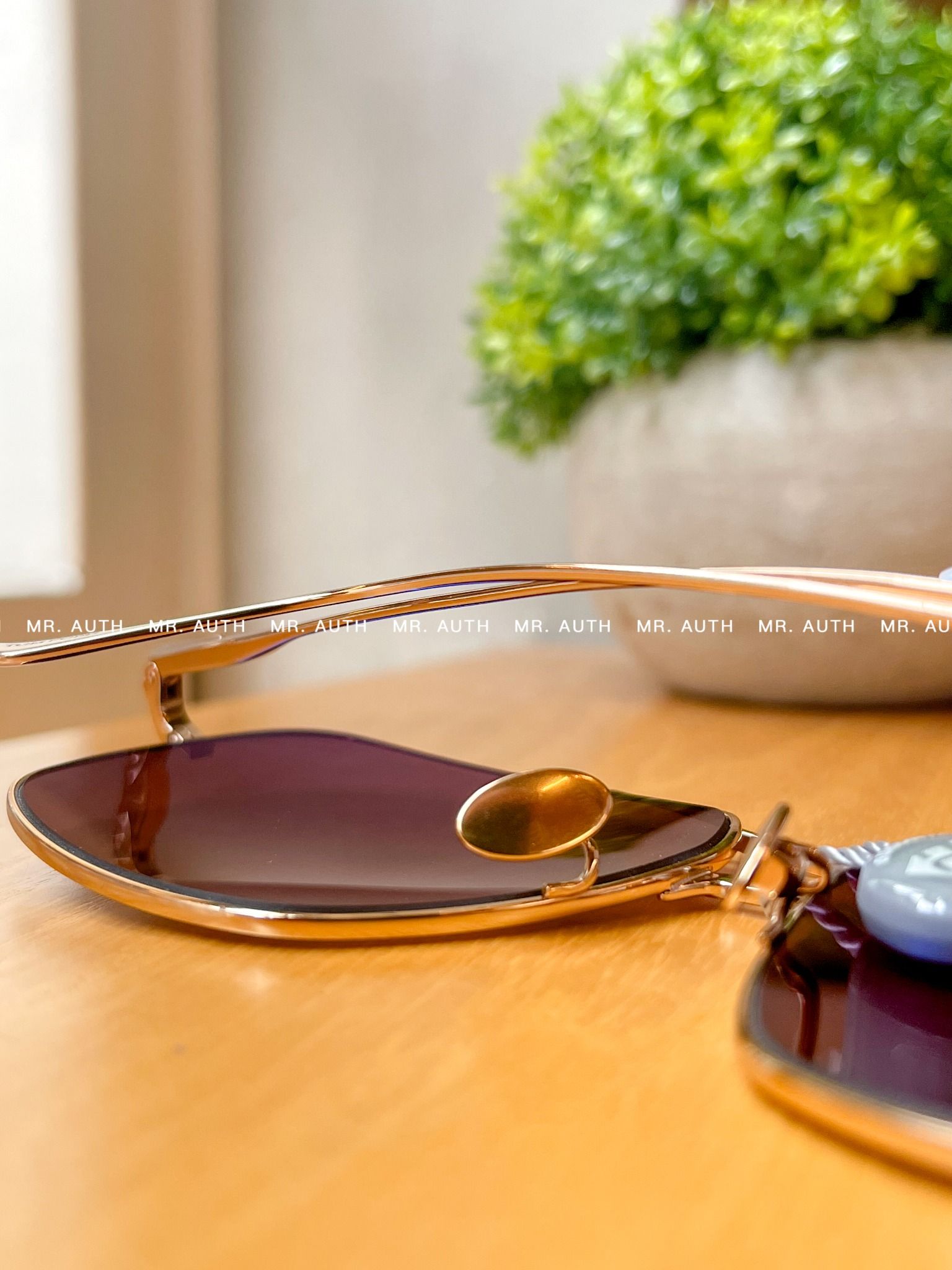 Tom Ford Sunglasses.