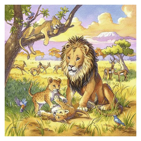  Xếp hình Puzzle Động vật Wild Animals 3x49p RV080038 