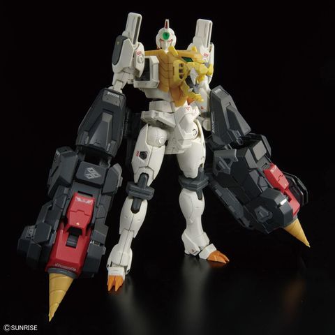  RG GAOGAIGAR 