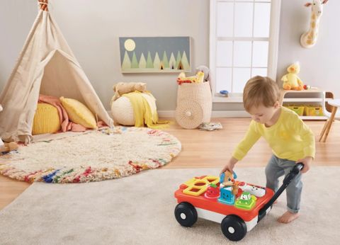  Xe đẩy tập đi Fisher Price Laugh & Learn Pull & Play Learning Wagon 