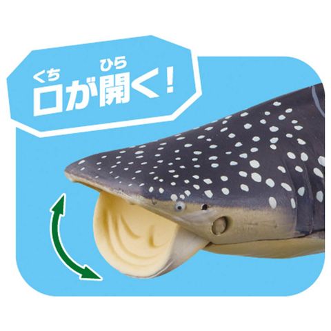  Đồ chơi mô hình cá mập trắng Whale Shark AL-05 