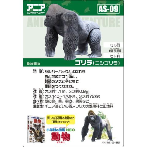  Đồ chơi mô hình ANIA AS-09 Gorilla 