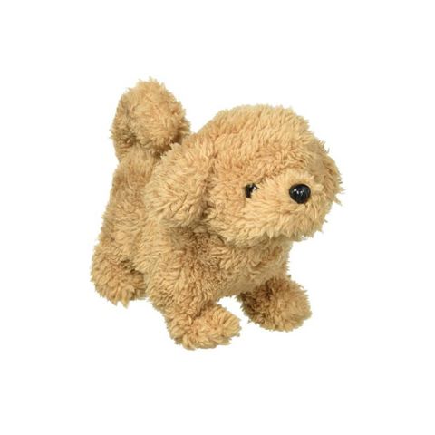  Chó bông Baby Toy Poodle biết sủa biết đi 