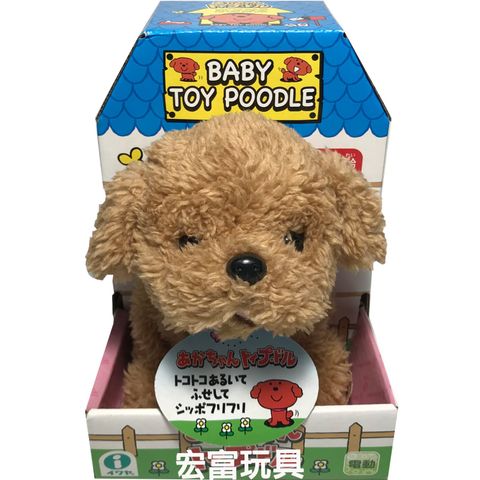  Chó bông Baby Toy Poodle biết sủa biết đi 