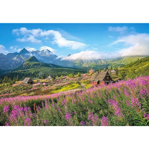  Xếp hình Puzzle Hala Gasienicowa, Tatras, Poland 1000 mảnh CASTORLAND C-104512 