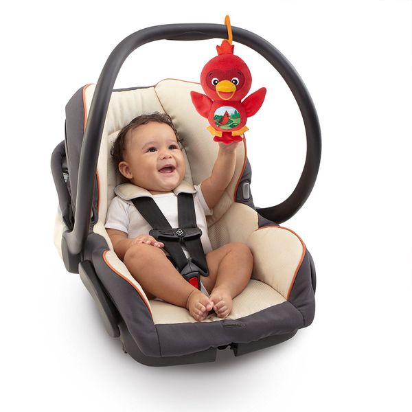 Chú chim âm nhạc vui nhộn BABY EINSTEIN 90628